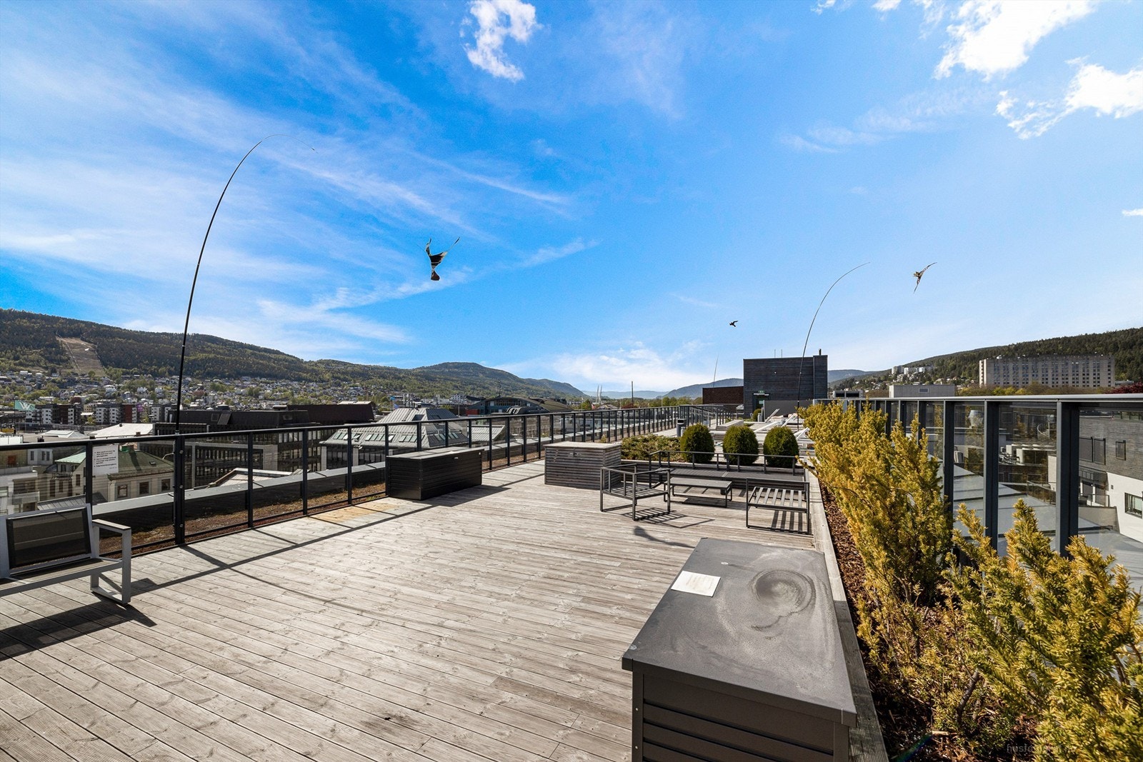 Felles takterrasse. Galleribilde