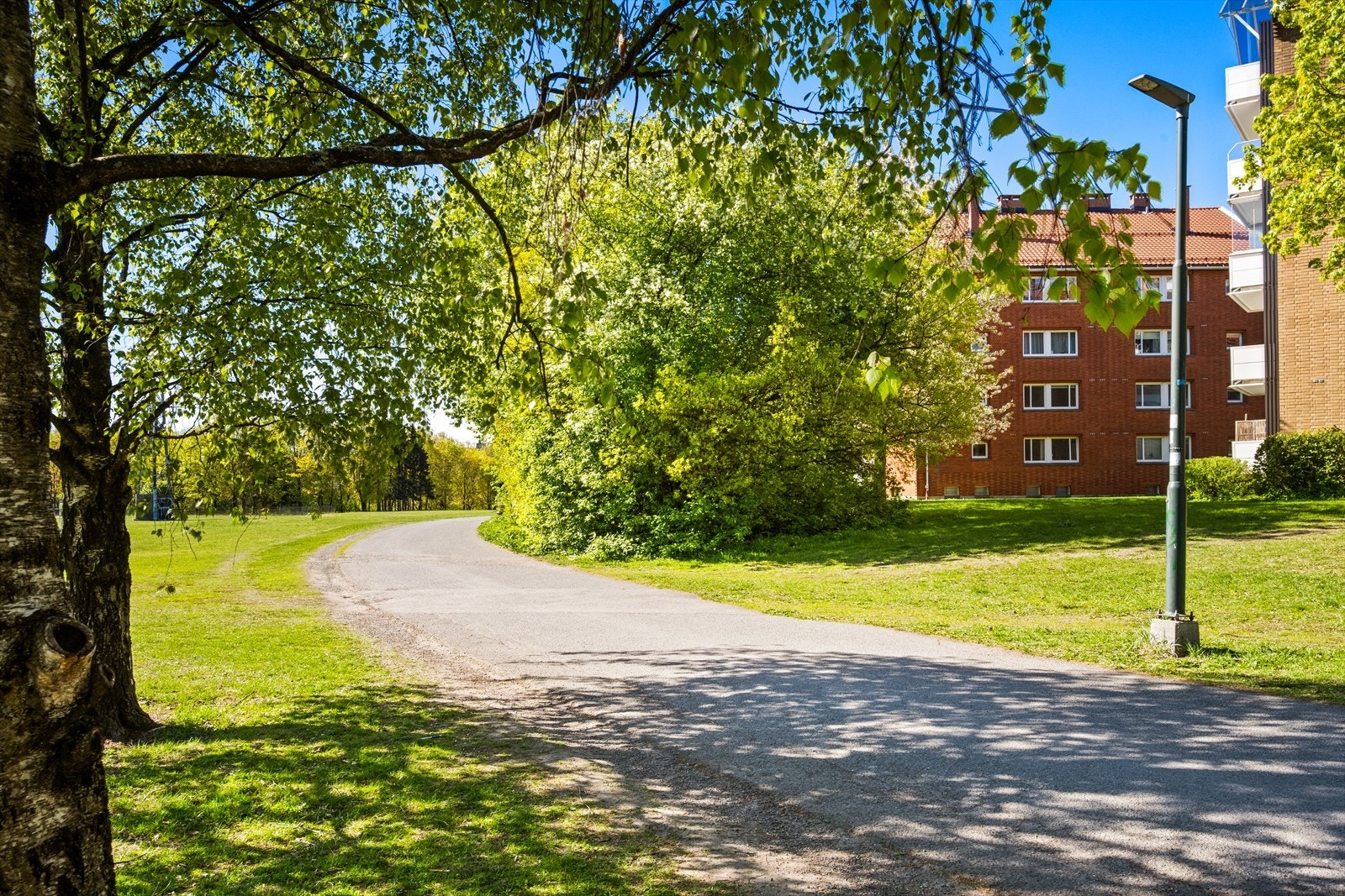 Områdebilde. Galleribilde