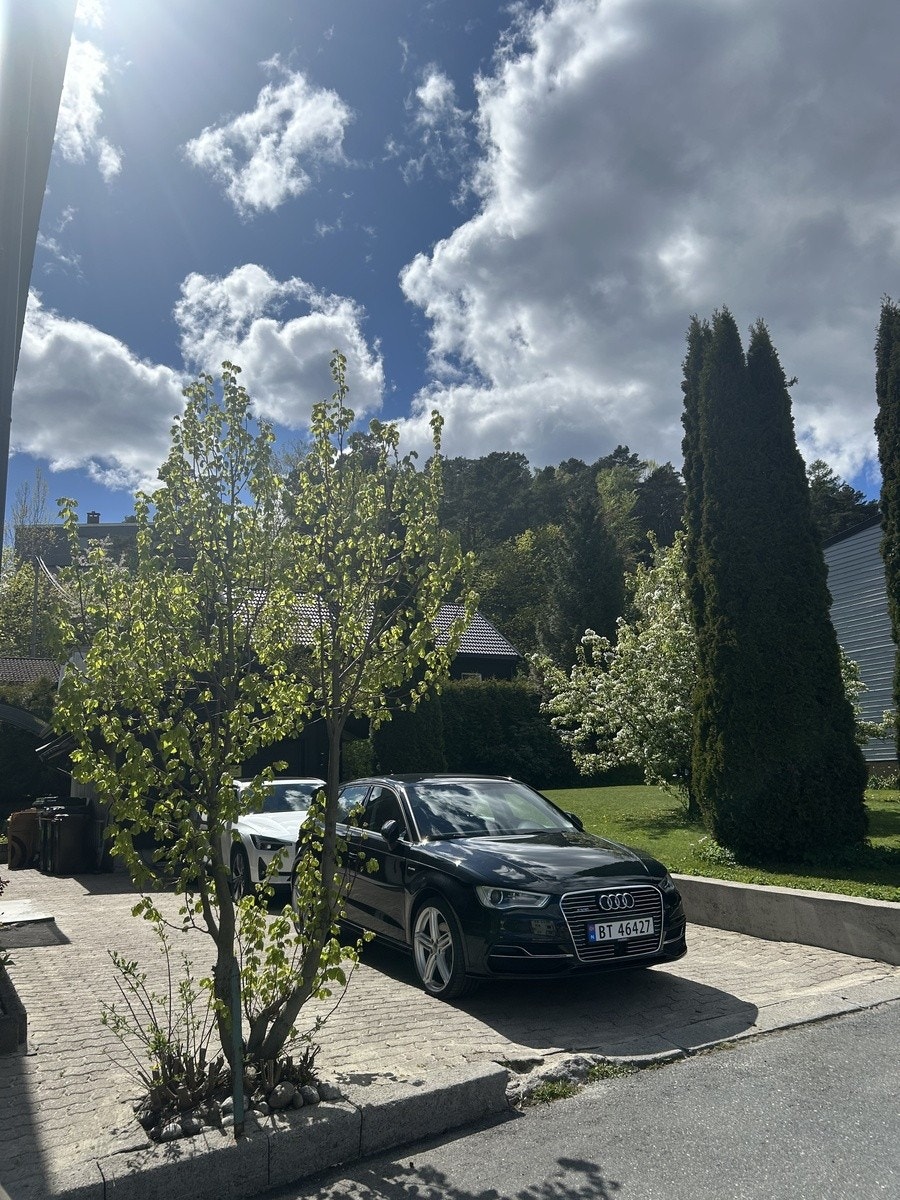 Innkjørsel Galleribilde