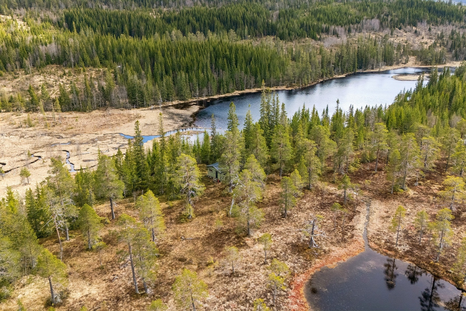 Eiendommen ligger fredelig til i vakre omgivelser med skog, myrterreng og umiddelbar nærhet til Altentjenna og nærliggende vann. Galleribilde