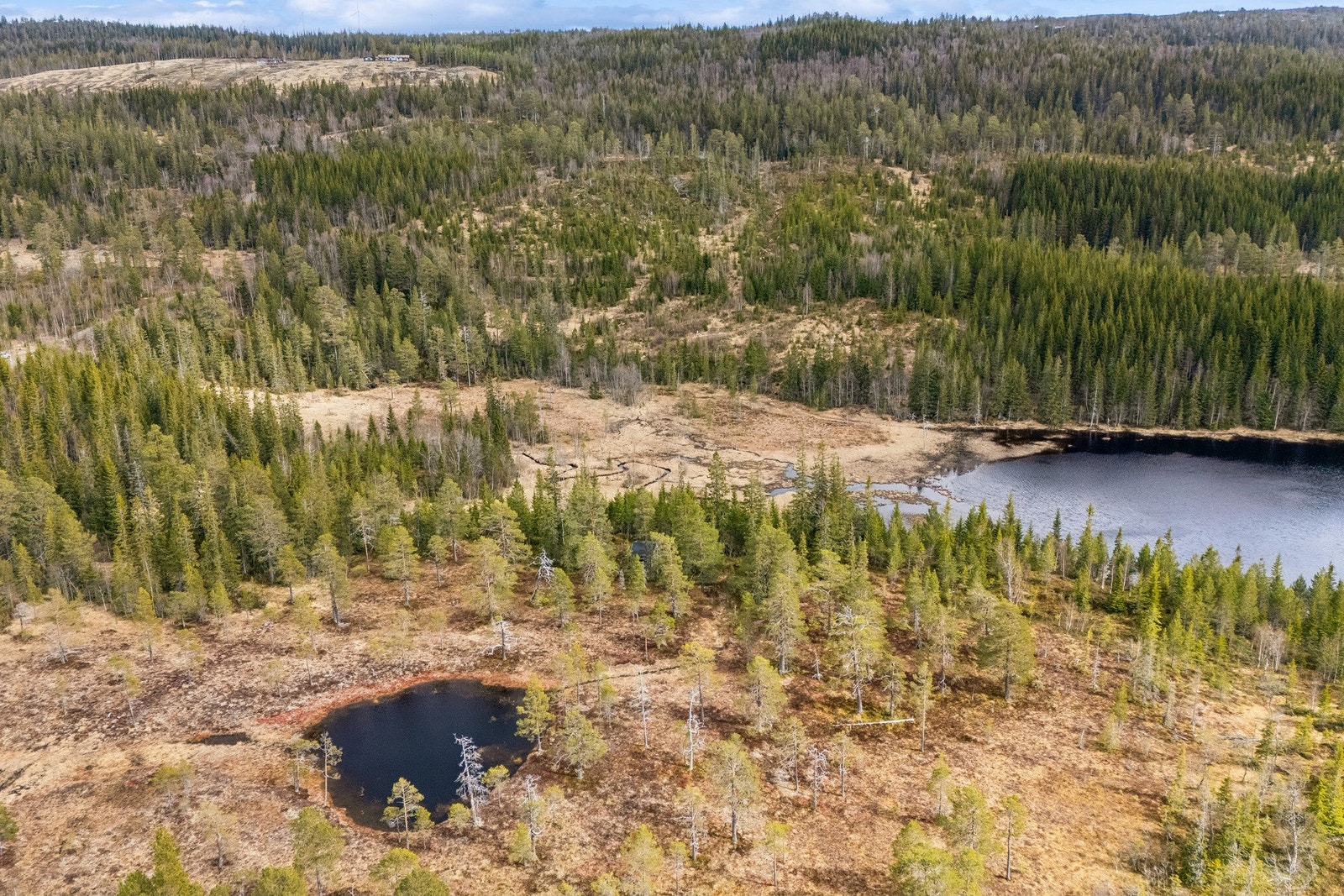 Det er også kort avstand til fjellområdet Bringen, som byr på fine tur- og utsiktsmuligheter. Galleribilde
