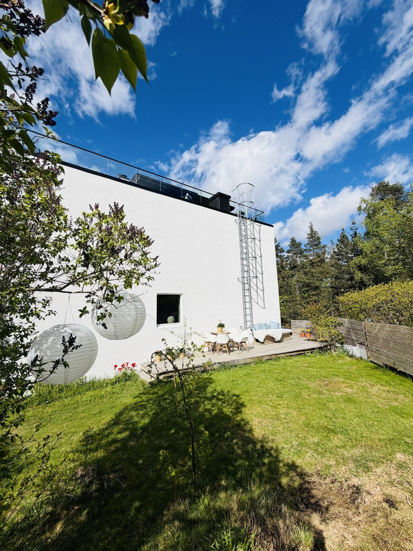 Frodig hage Galleribilde