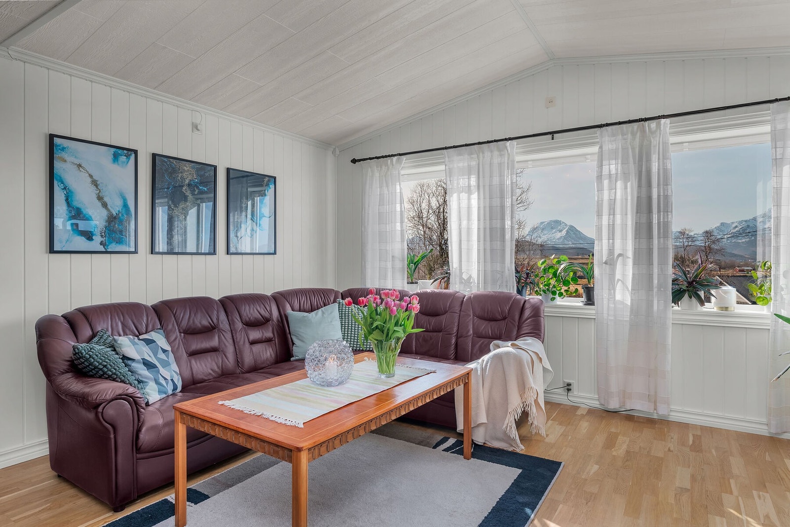 Nydelig utsikt mot fjellrekka. Galleribilde