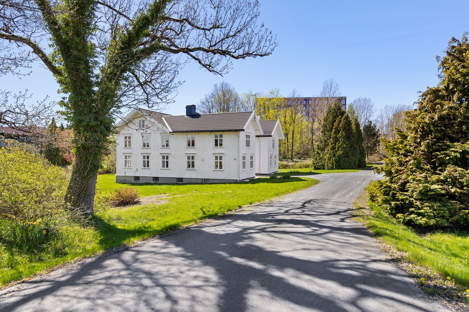 Koselig vei inn til eiendommen. Galleribilde