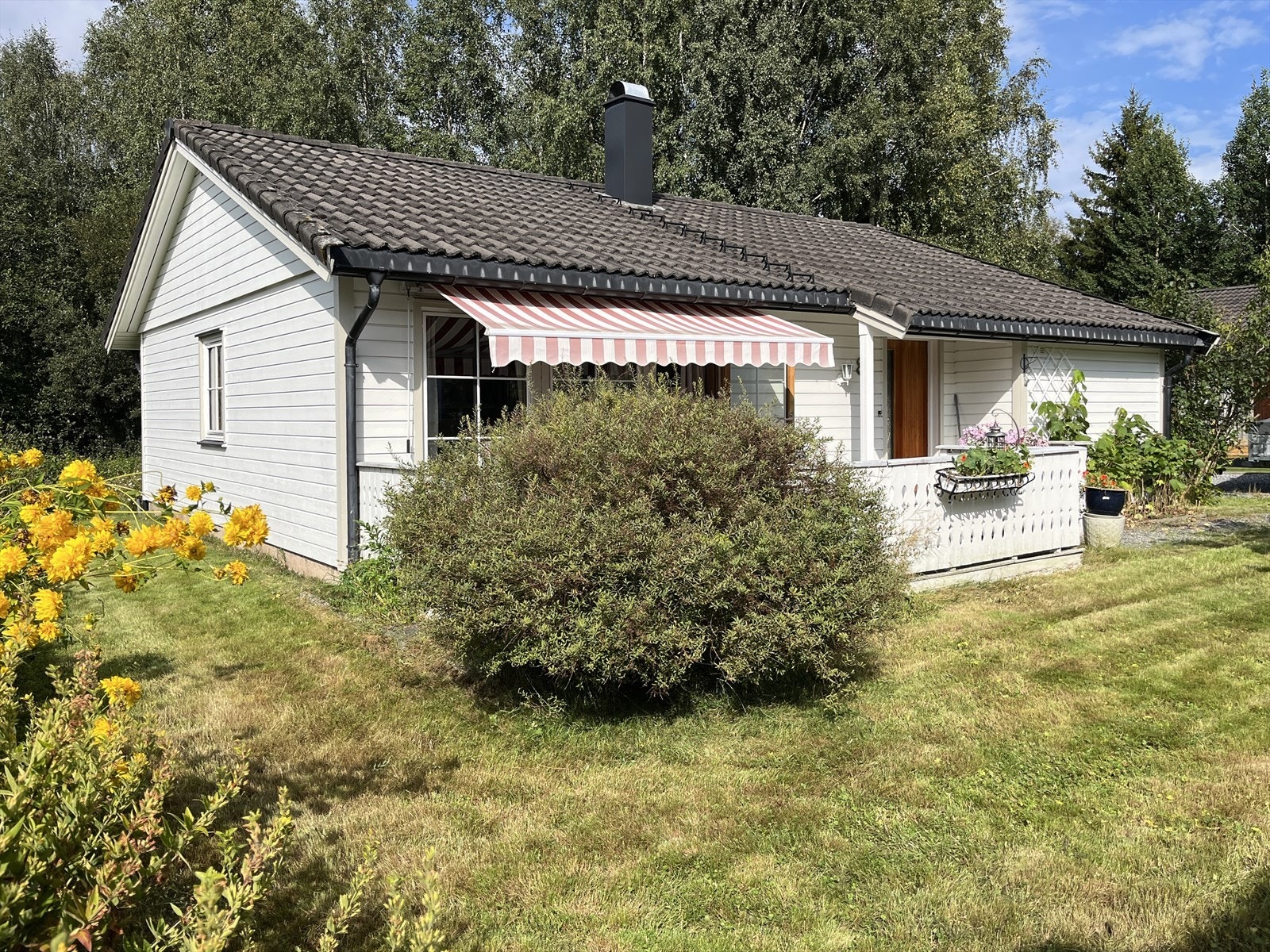 Sommerbilder Galleribilde