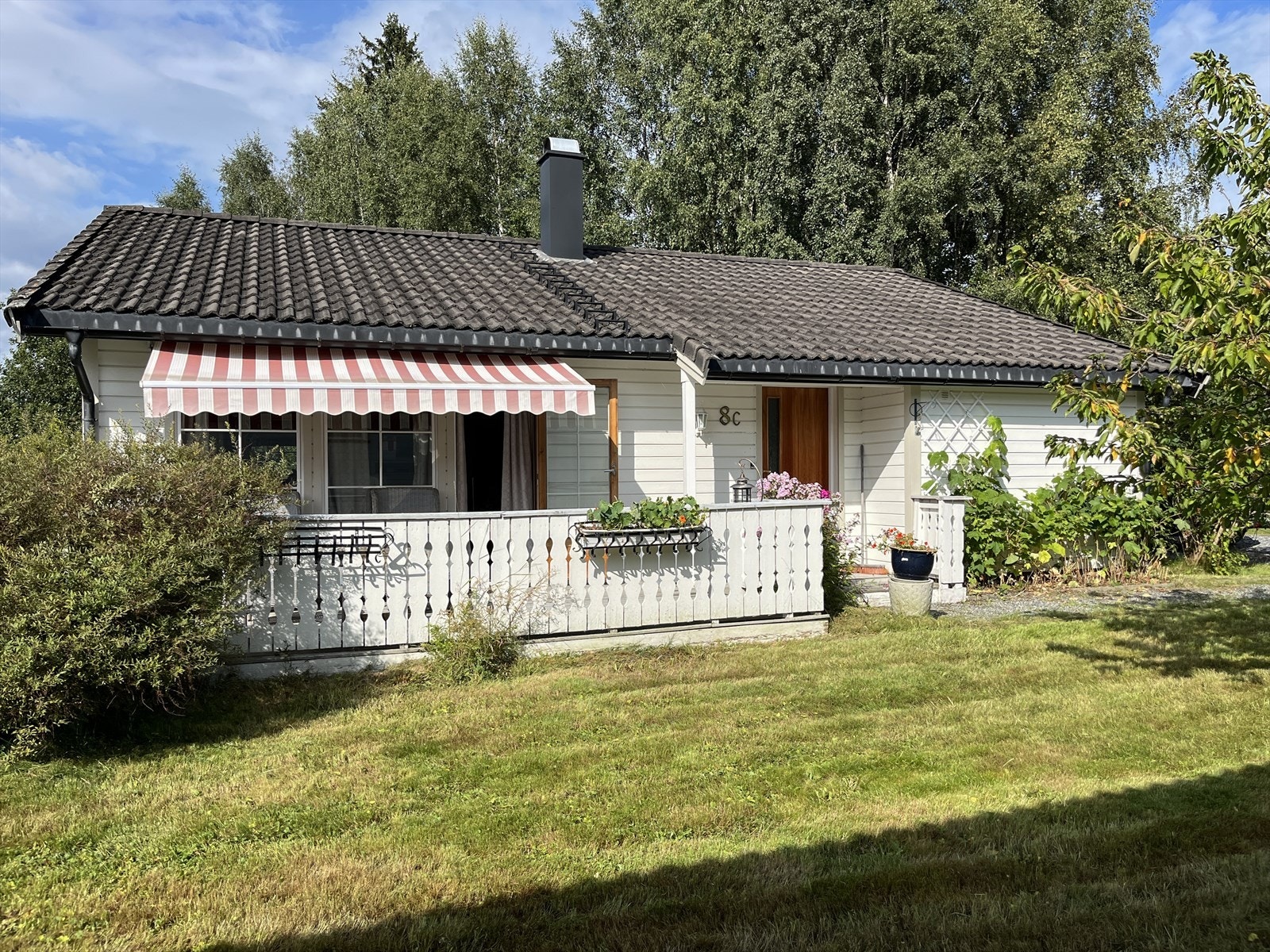 Sommerbilder Galleribilde