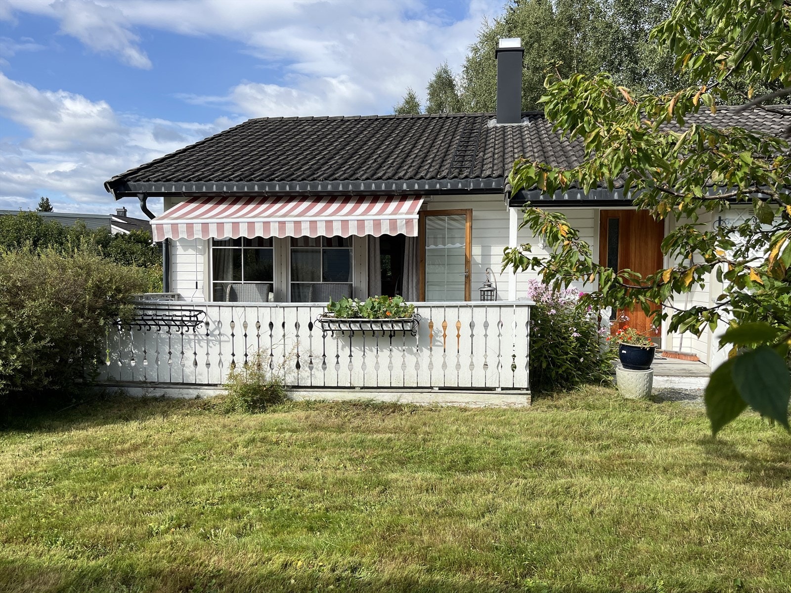Sommerbilder Galleribilde