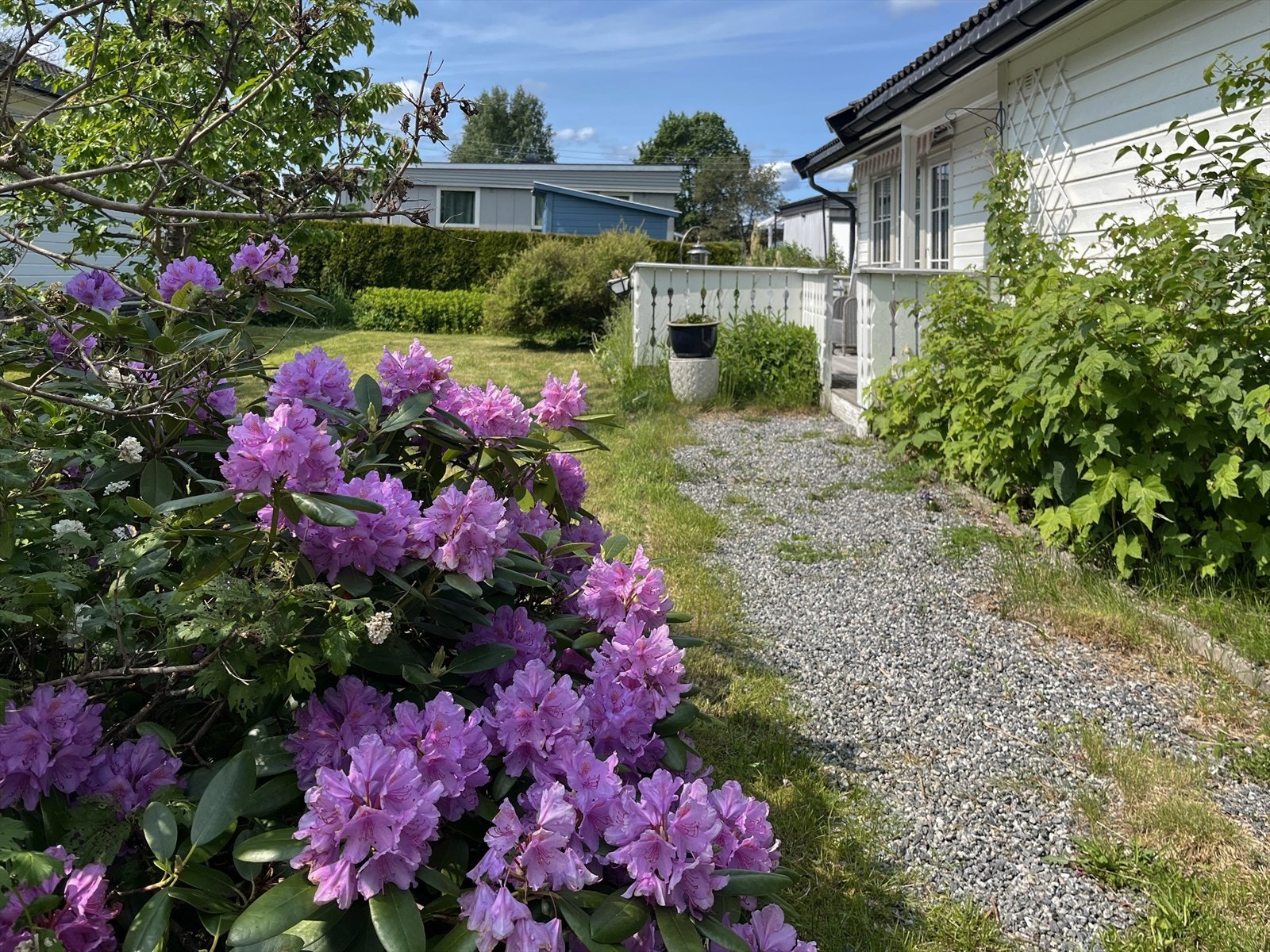 Sommerbilder Galleribilde