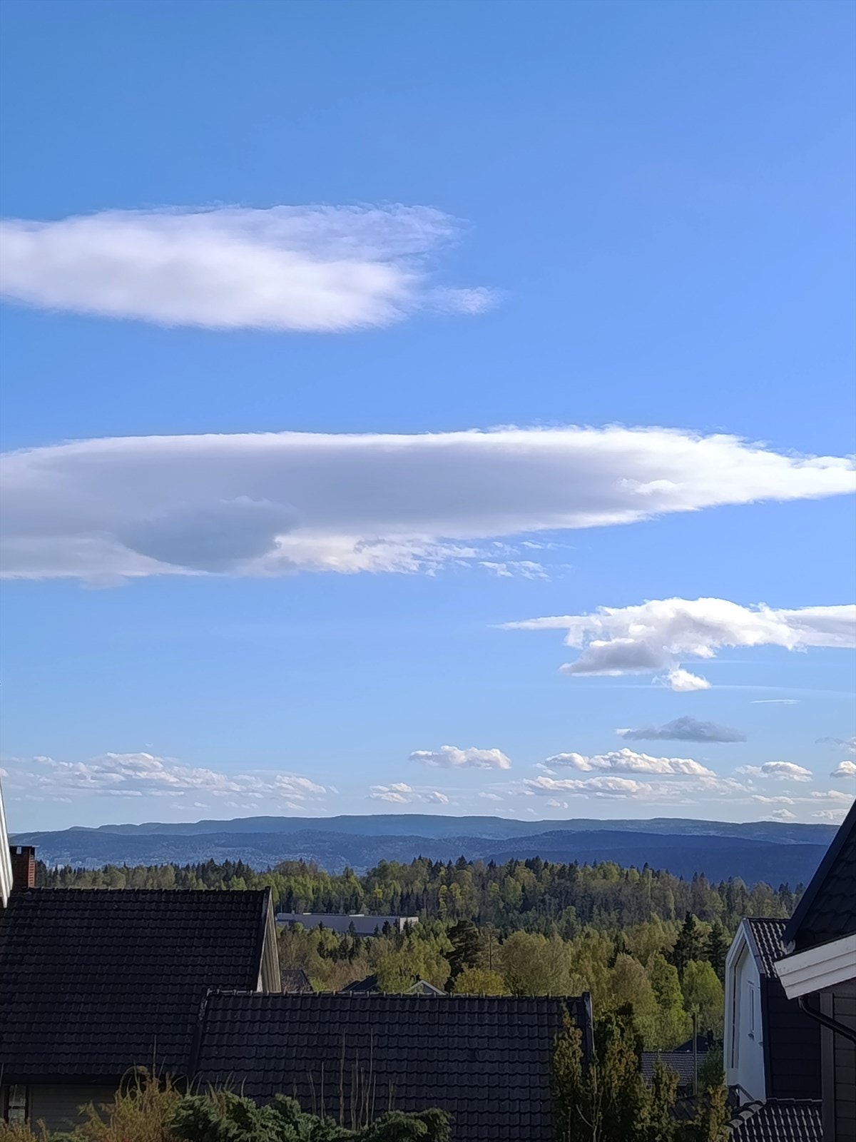Nygårdskogen er et etablert og rolig boligområde, ideelt for de som verdsetter trygge omgivelser. Galleribilde