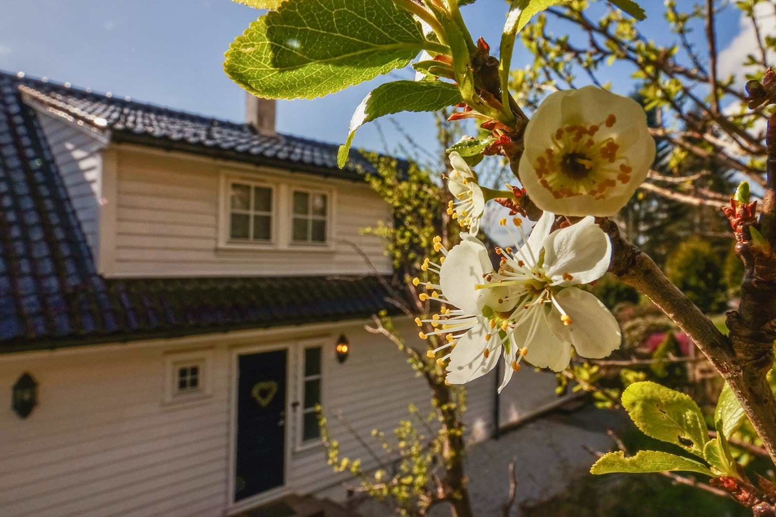 Velkommen til Øvre Fredlundveien 26B og en meget romslig og flott familiebolig i et veletablert, barnevennlig boområde. Foto: Terje Arntsen, Bark Foto. Galleribilde