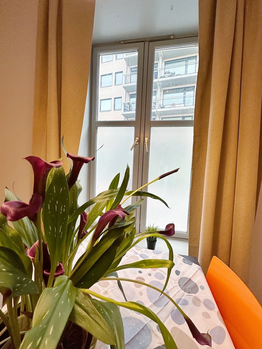 Detalj fra kjøkken Galleribilde