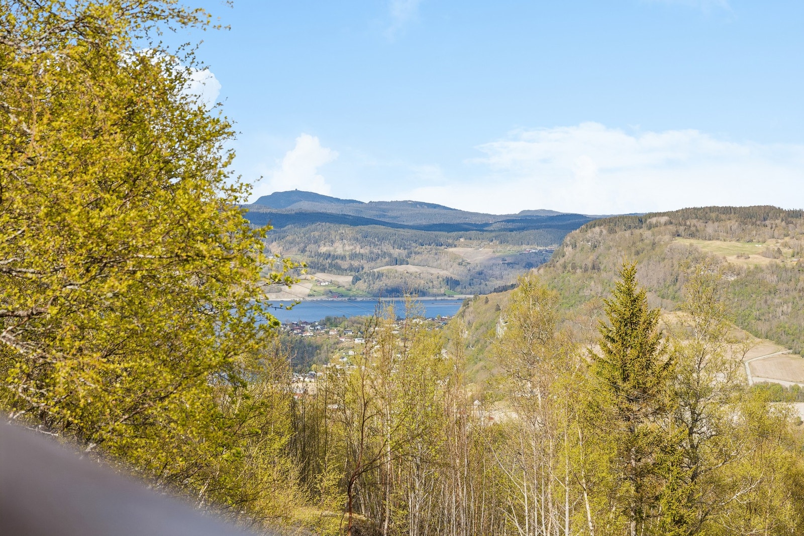 Upåklagelig utsikt. Galleribilde