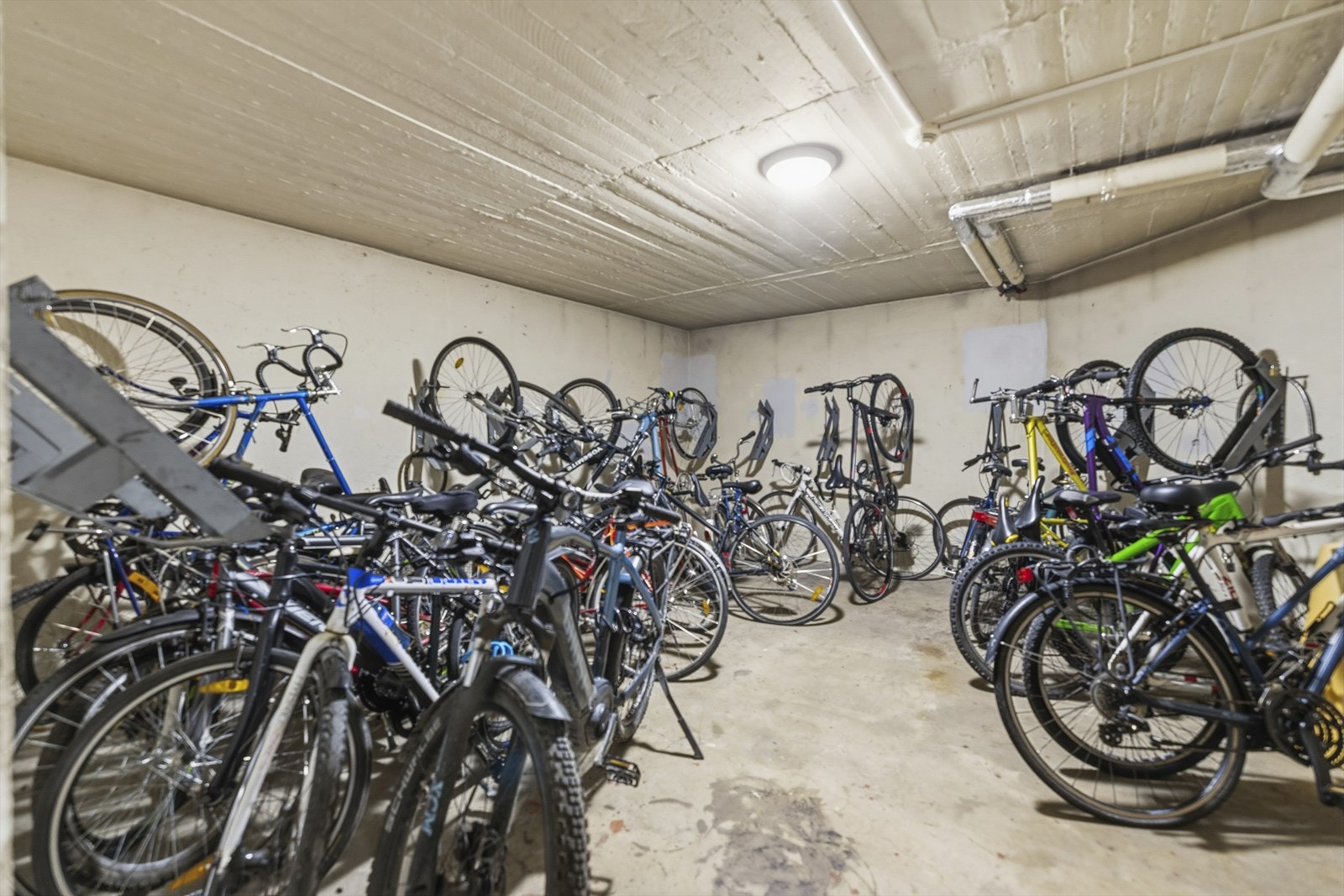 Det er tilgang til to store sykkelboder i kjelleren. Galleribilde
