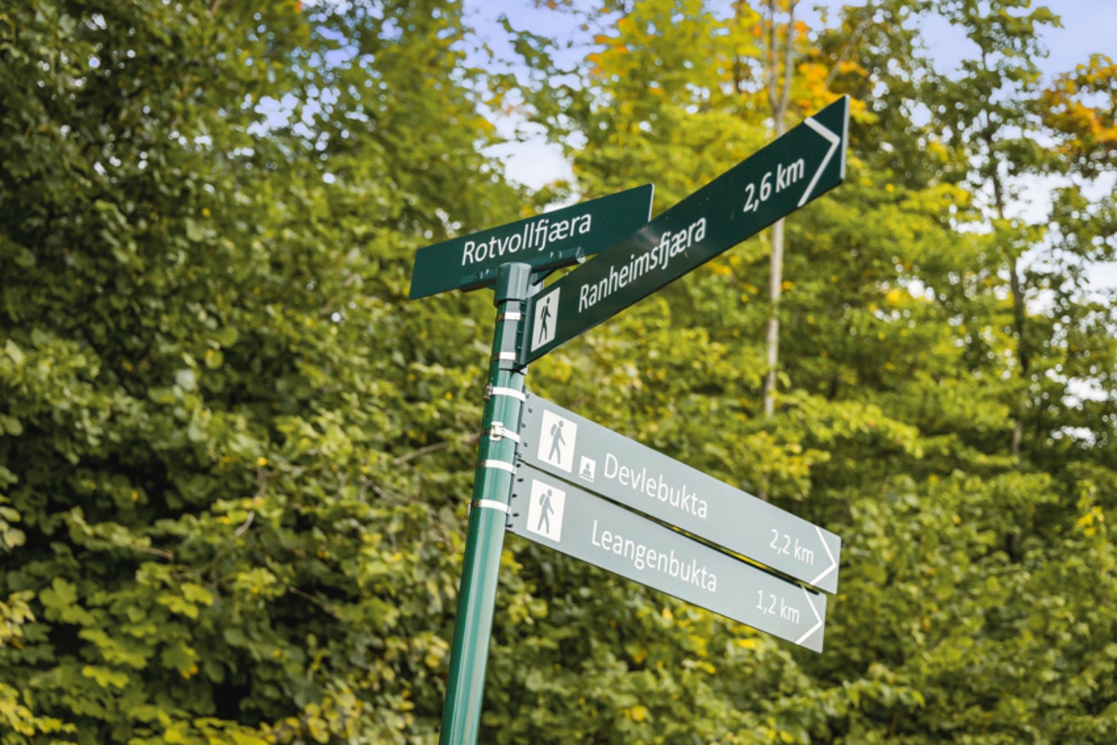 Flott opparbeidet tursti på ca. 8 km som strekker seg fra Lade til Ranheim Galleribilde