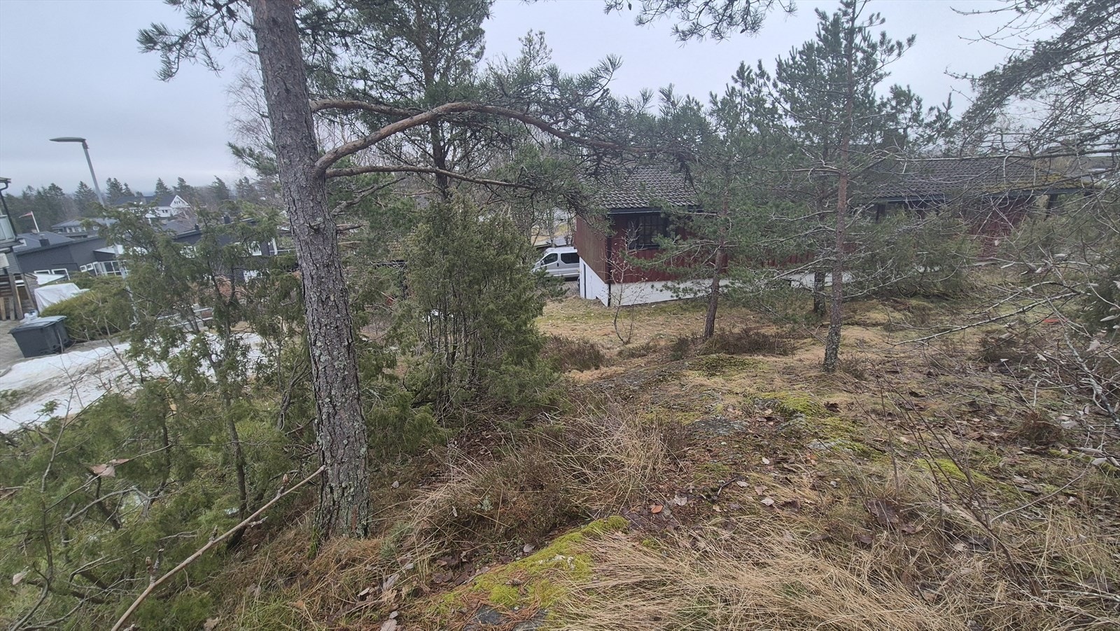 Utsyn mot øst fra nordre øvre del av tomta, bak fraskilt hus. Galleribilde