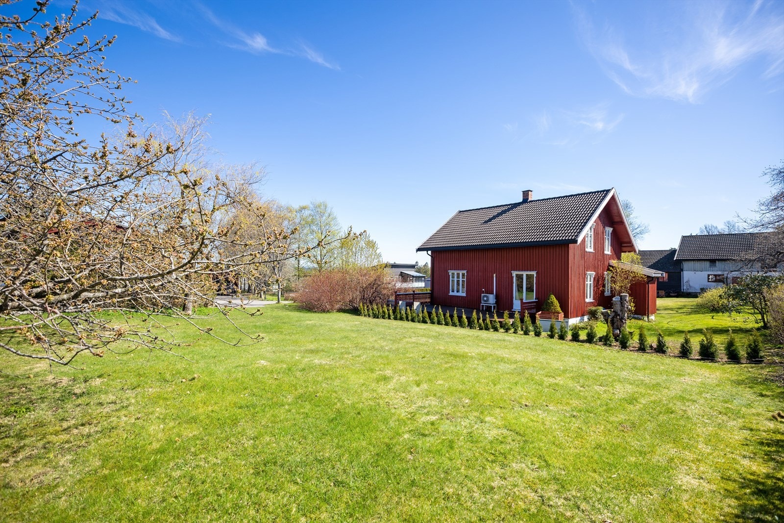 Hagetomta med nyplantet Tuahekk for nabo øst. Galleribilde