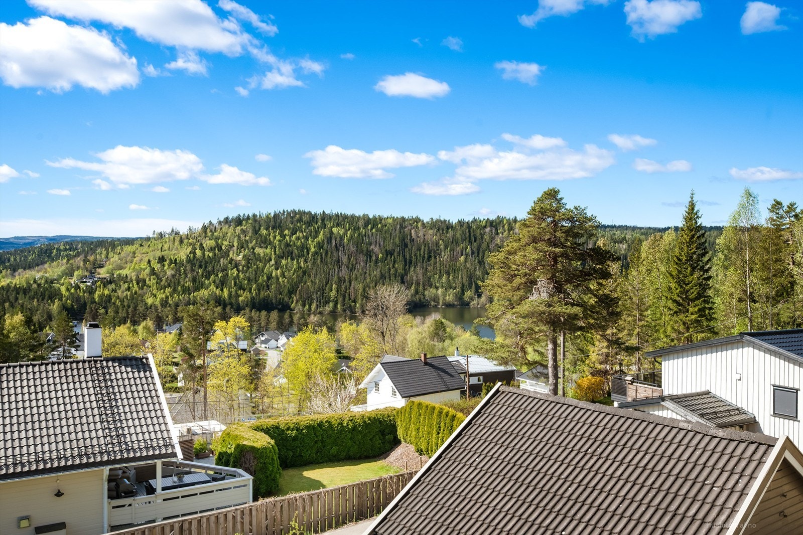 Utsikt - Nærområdet. Galleribilde