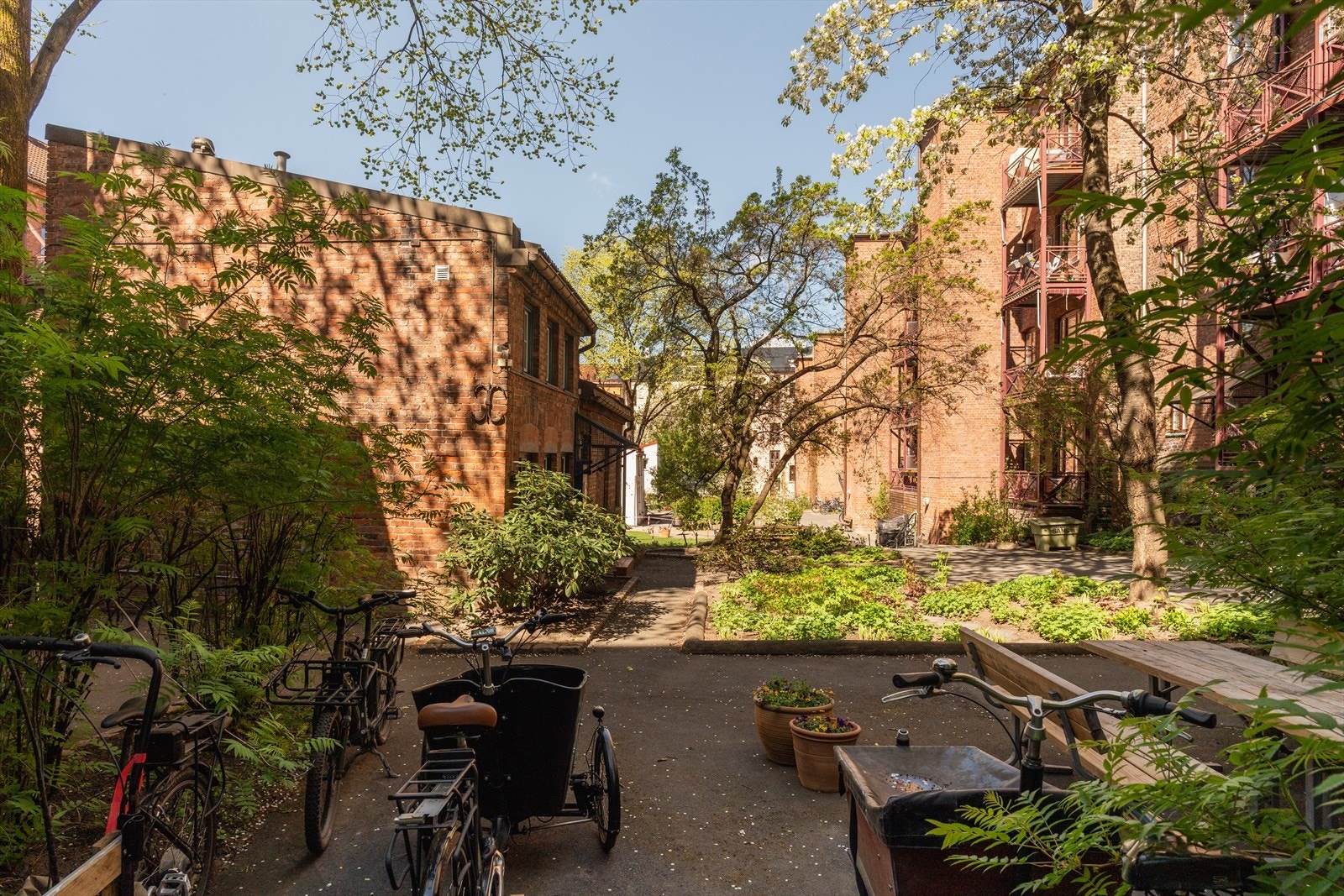 Gode muligheter for sykkelparkering i bakgården. Galleribilde