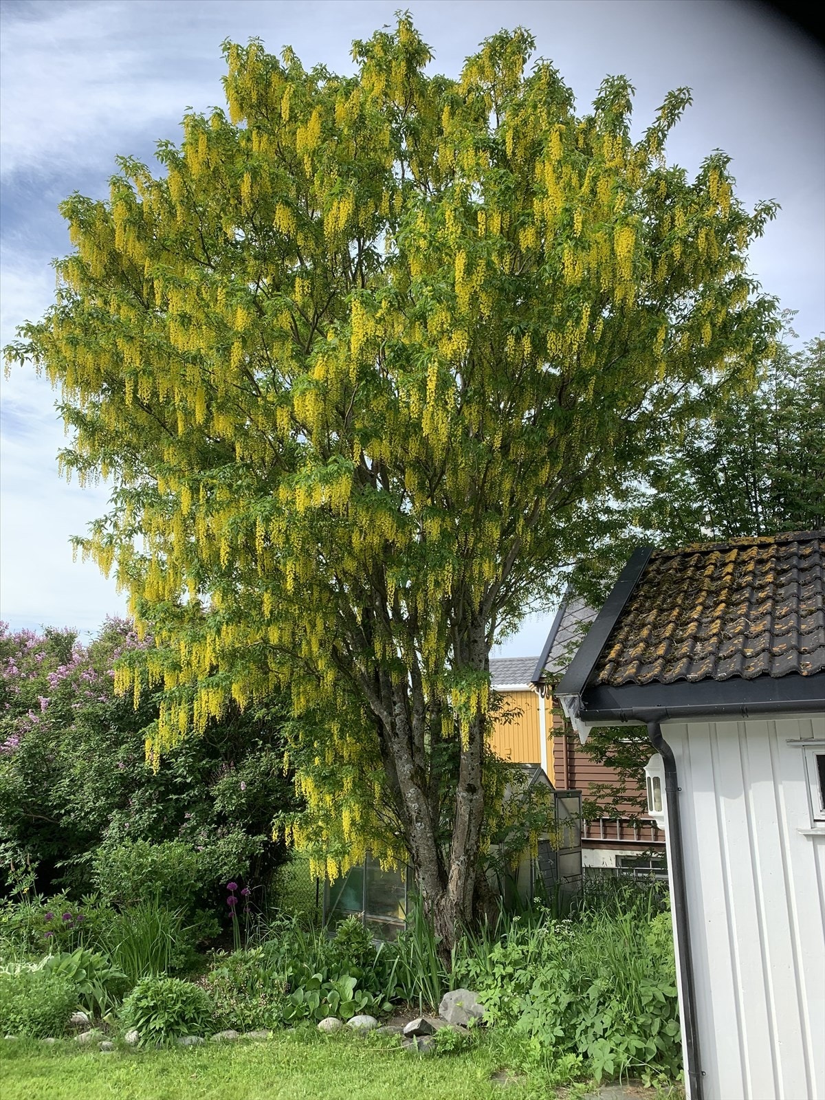 Privat foto Galleribilde
