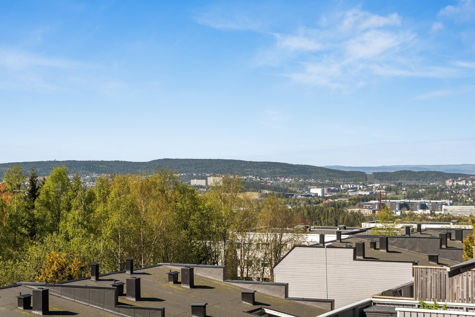 Fra boligen er det nærhet til skog og mark, med turmuligheter rett utenfor døren. Galleribilde