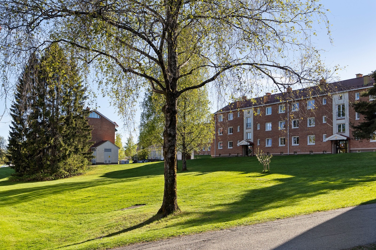 Boretslagget uteområder Galleribilde