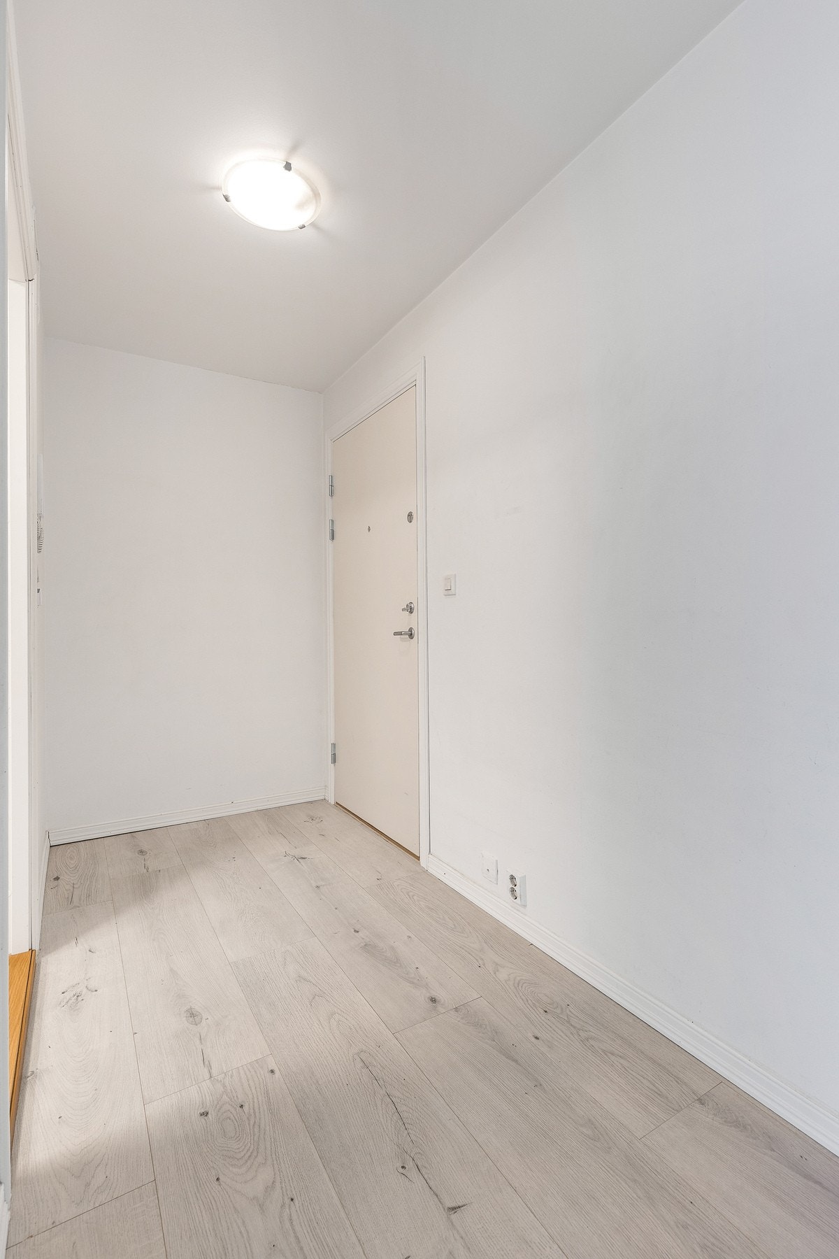 Inngangsparti. Galleribilde