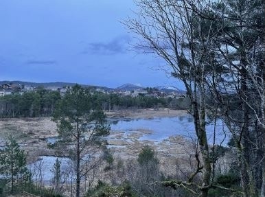 Lerstadvannet er fint både sommer og vinter. Om vinteren kan du gå på skøyter her når det er kaldt! Galleribilde