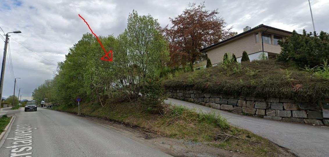 Vegen opp til huset. Huset ligger bak trærne. Galleribilde