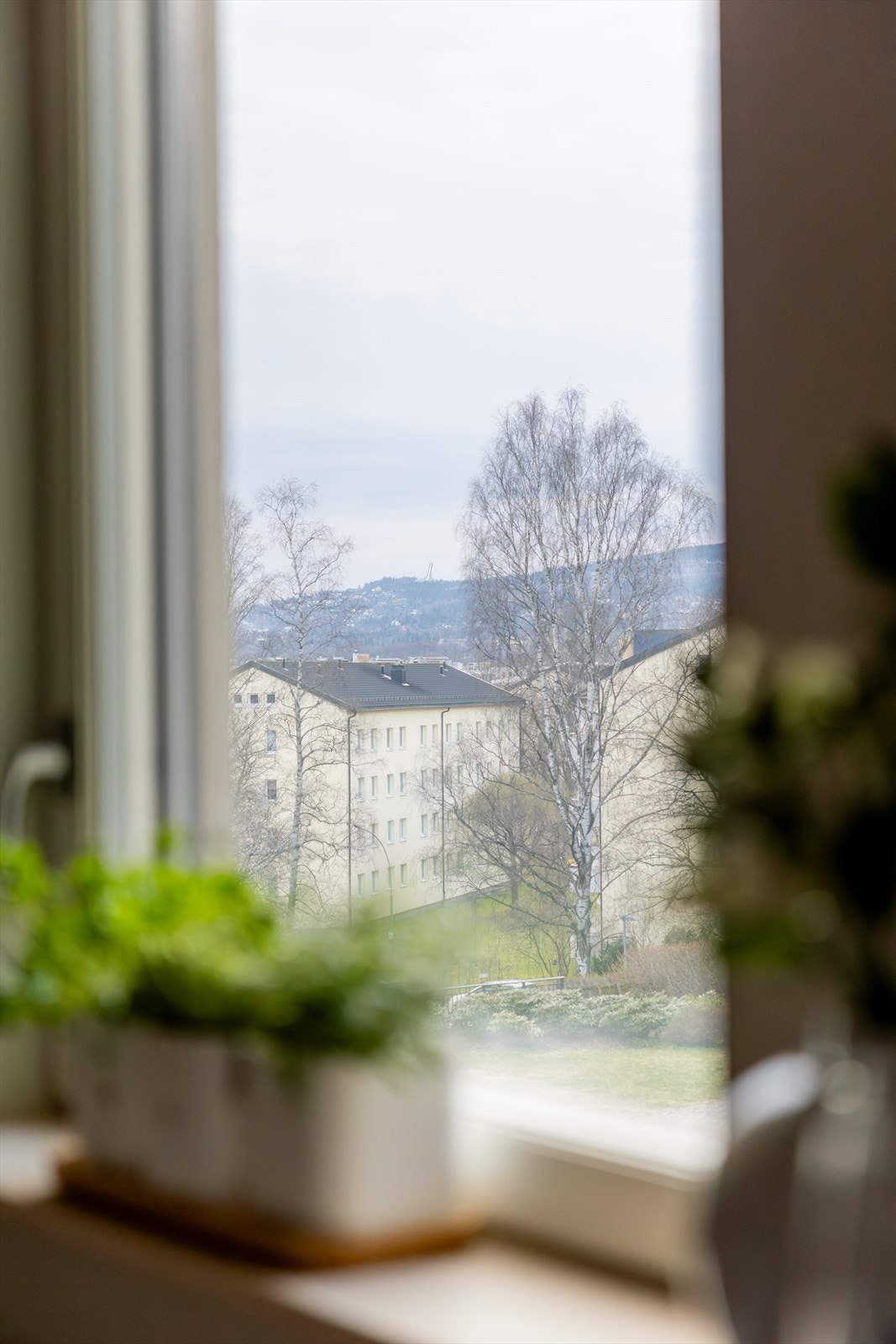 Utsikt mot Holmenkollen. Galleribilde