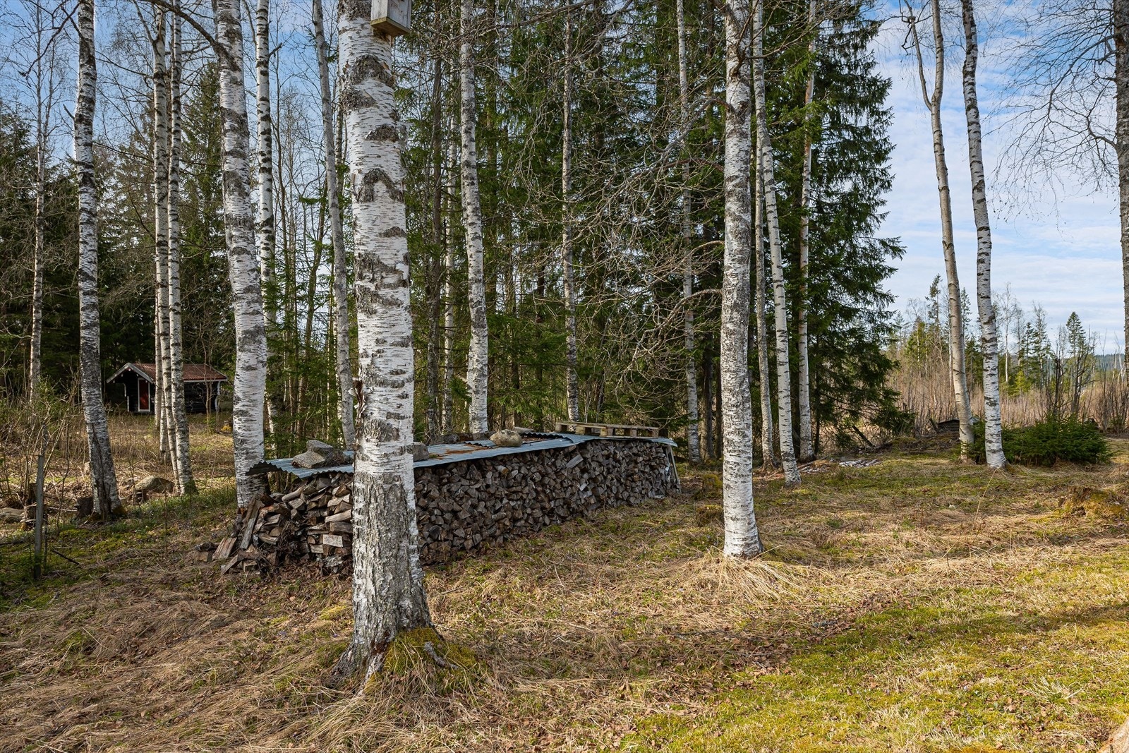På tomten ligger det ved for flere fyringer i peisen i årene fremover. Galleribilde
