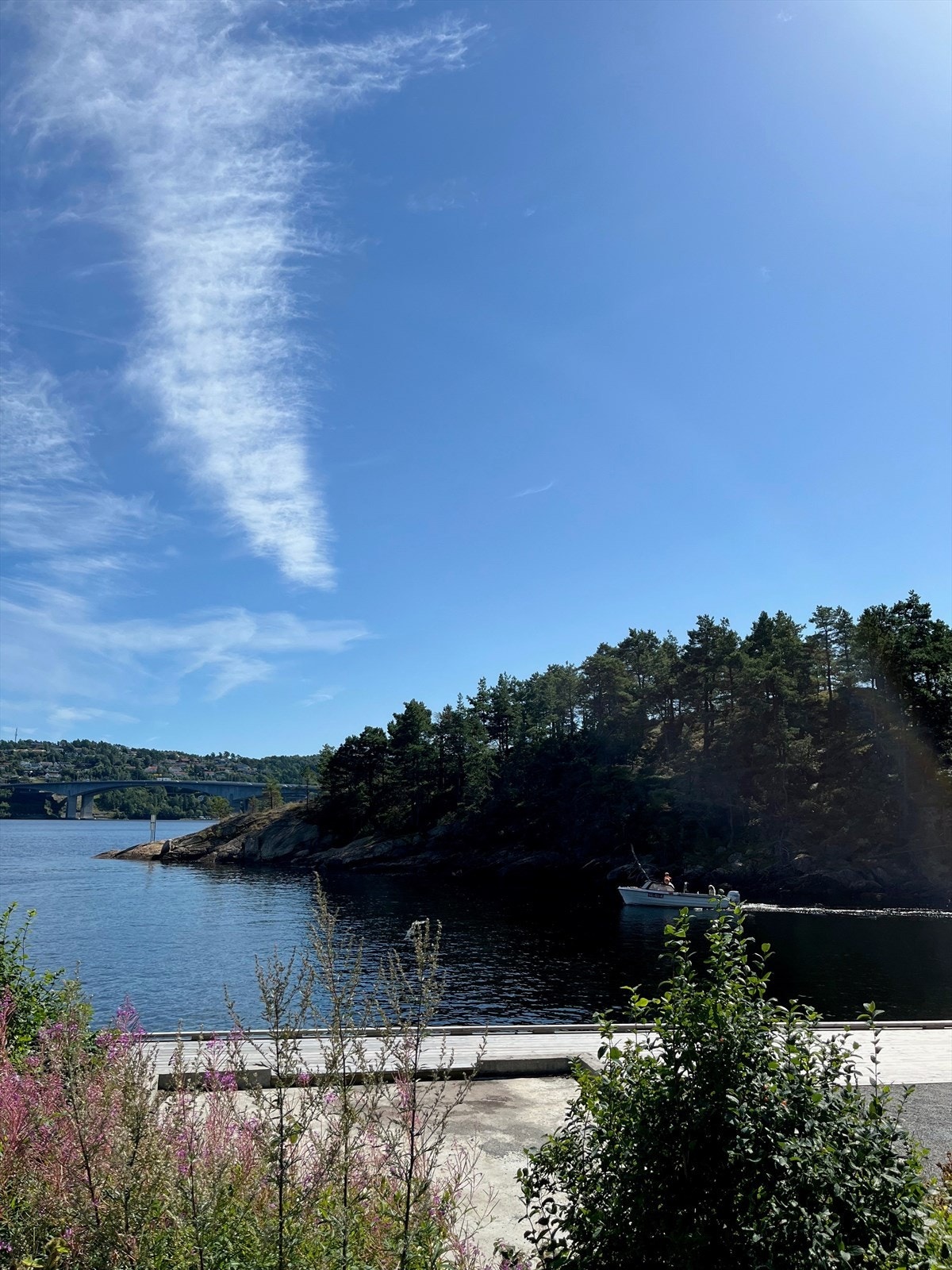 Nærområde. Galleribilde