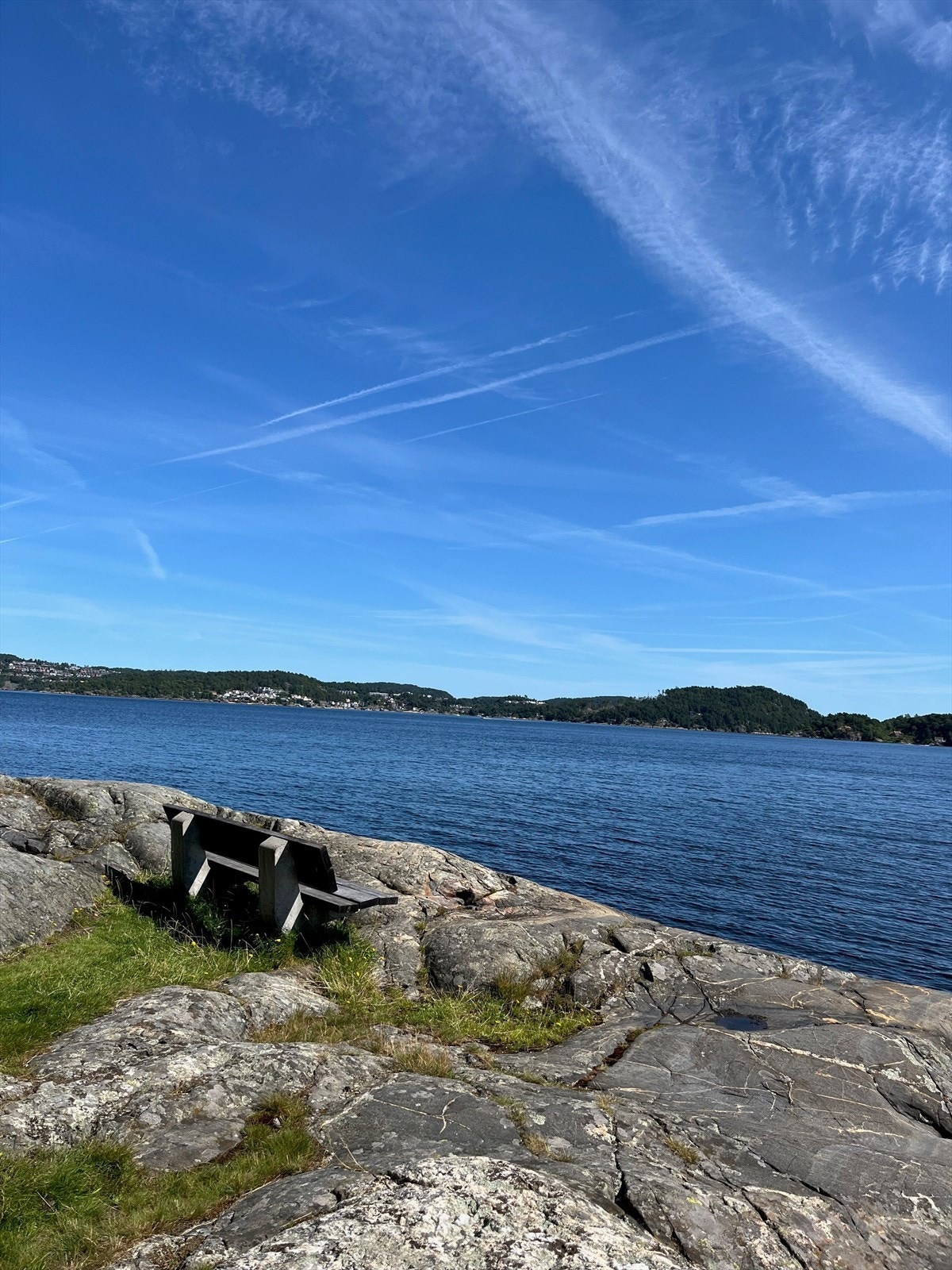 Nærområde. Galleribilde