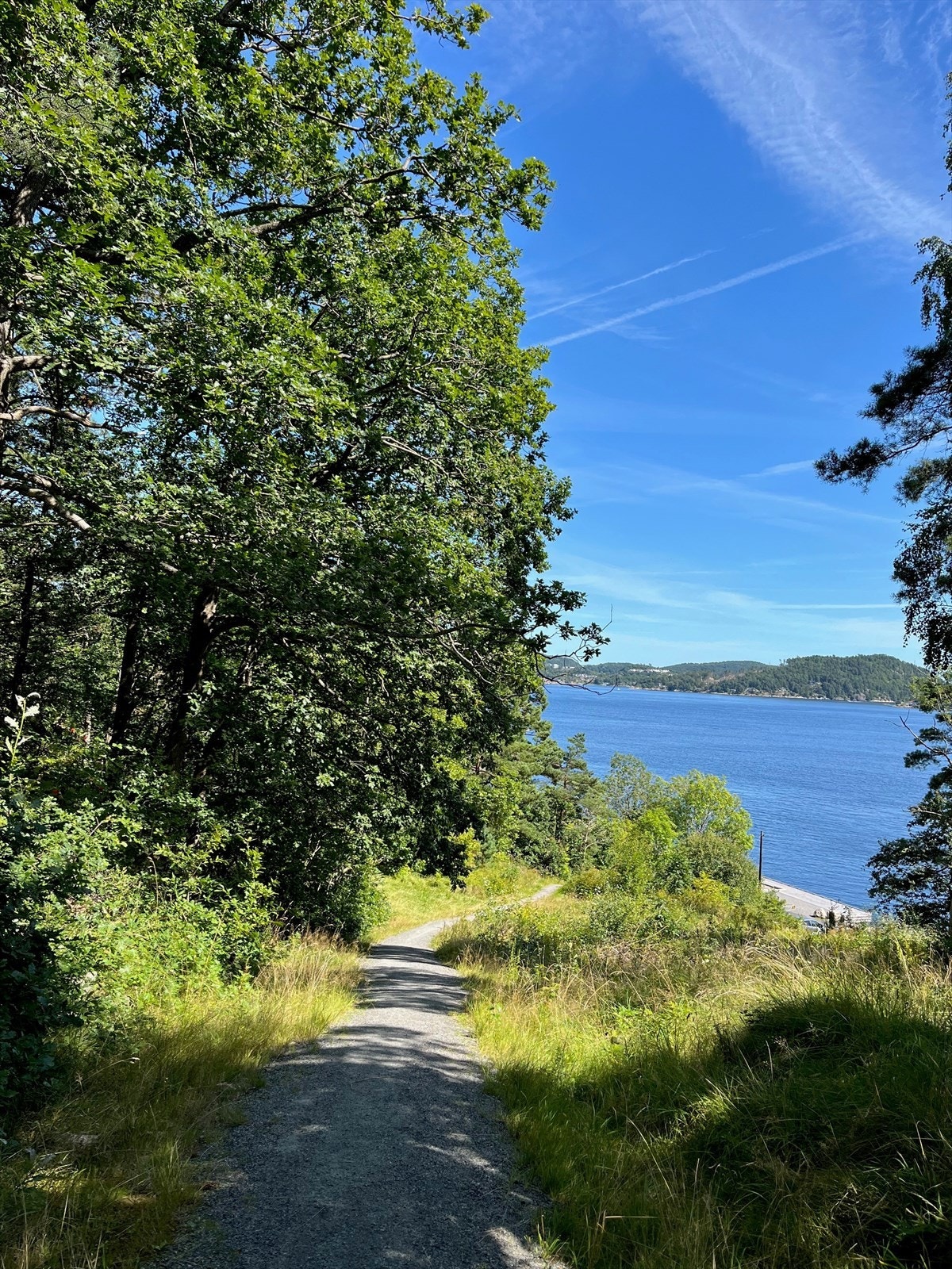 Nærområde. Galleribilde