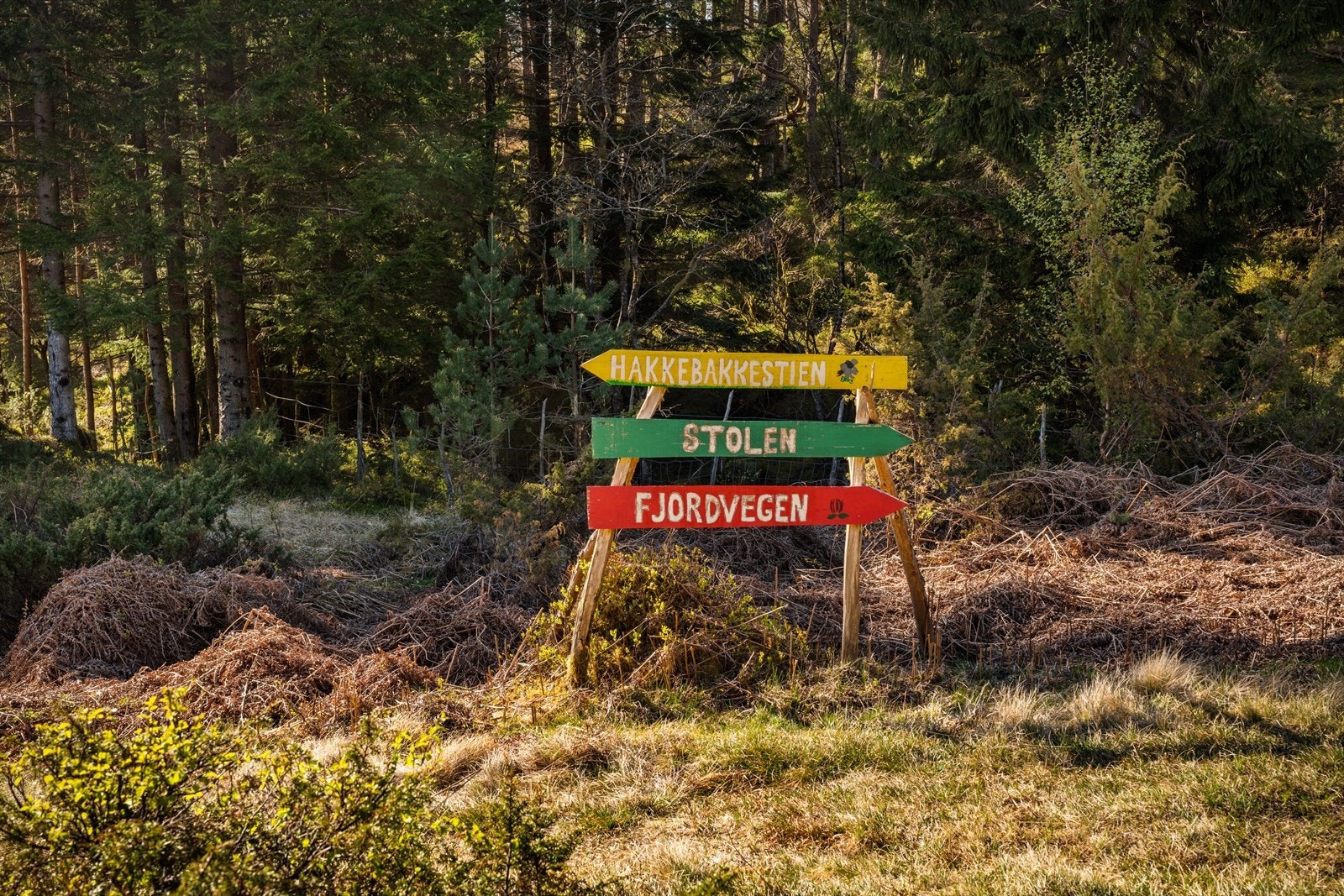Det er anlagt en egen tursti, "Hakkebakkestien", inspirert av Hakkebakkeskogen. Galleribilde