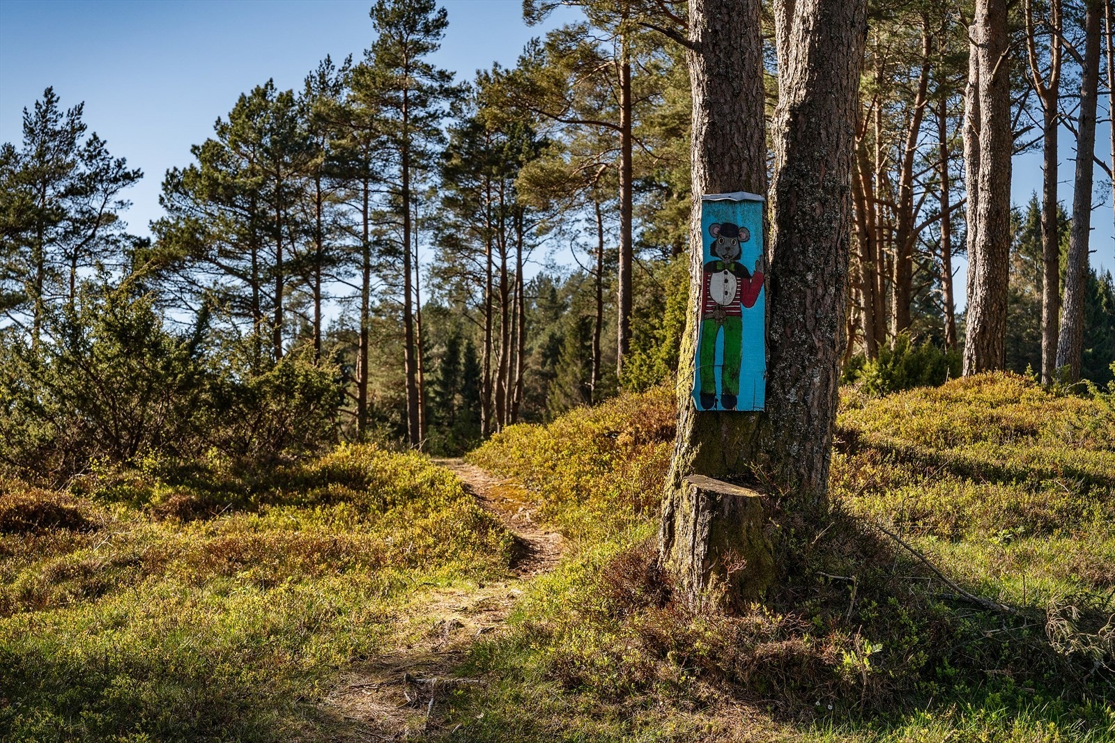 En sjarmerende og barnevennlig sti som inviterer til lek, utforsking og turglede rett utenfor døren. Galleribilde