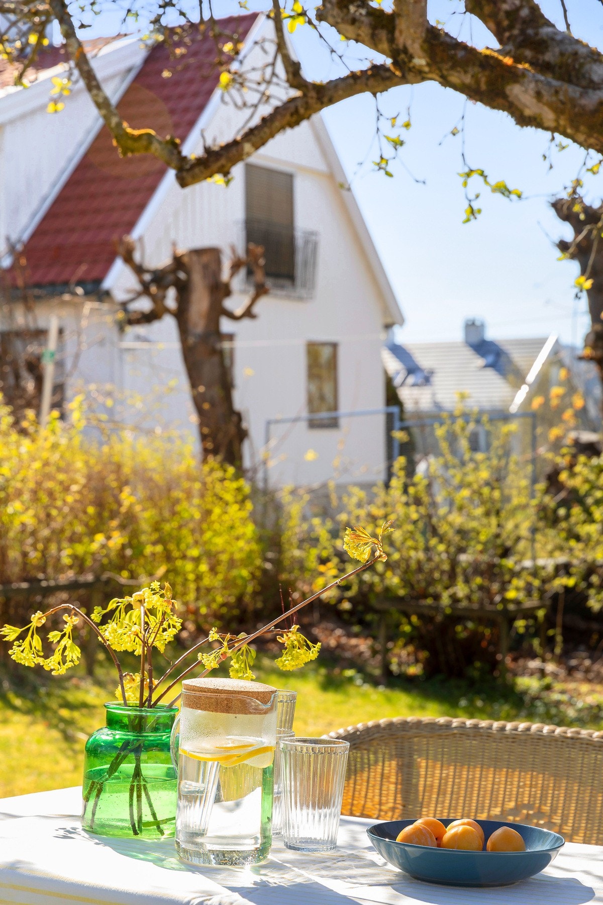 Hagen nyter godt av lang solgang, og kan tilby rikelig med boltreplass for både store og små. Galleribilde