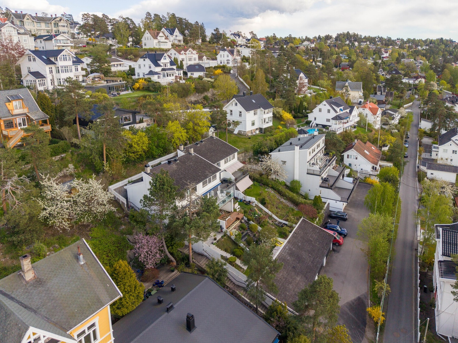 Husk visningspåmelding! Galleribilde