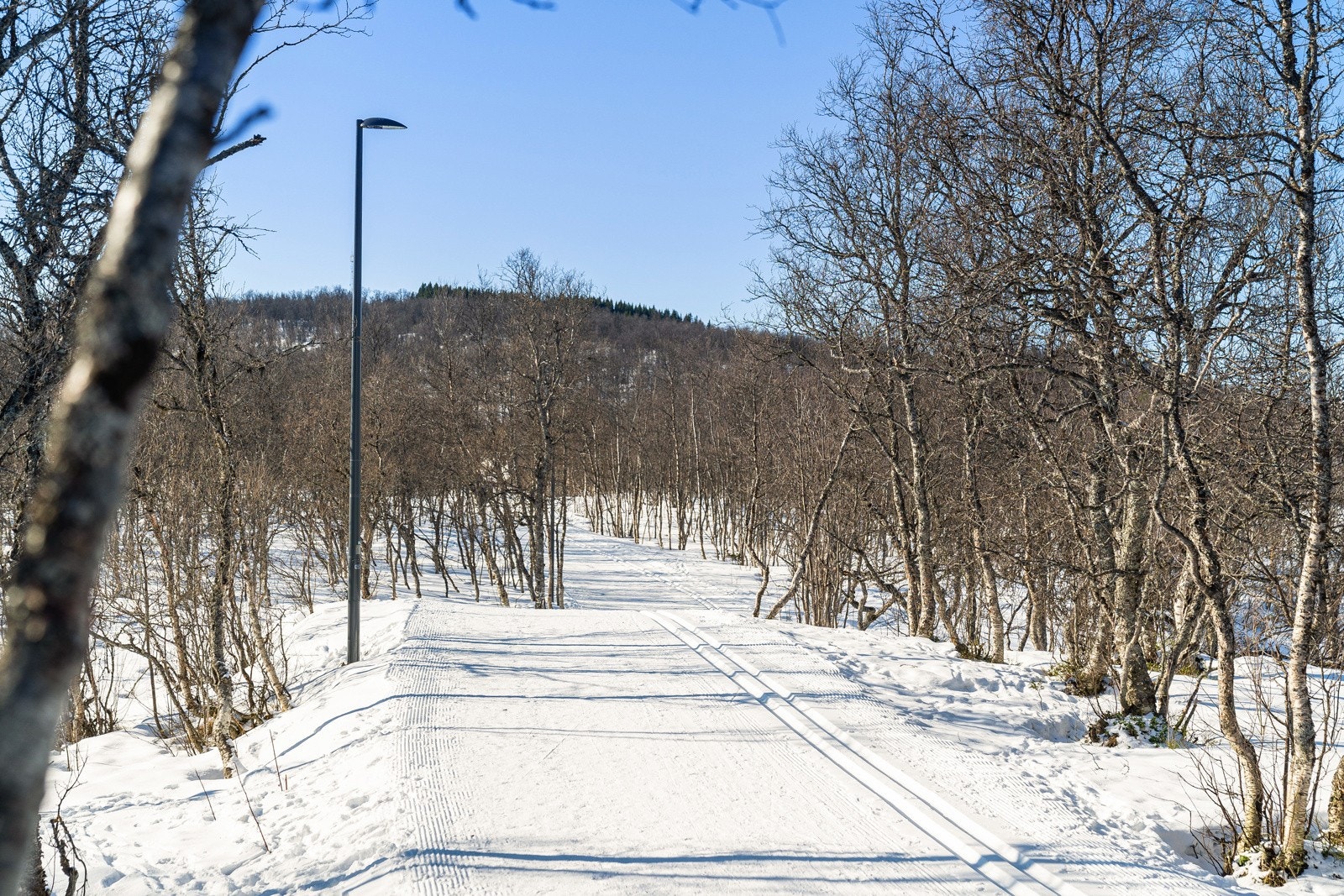 Lysløypa like i nærheten av leiligheten. Fantastiske turmuligheter sommer som vinter. Galleribilde