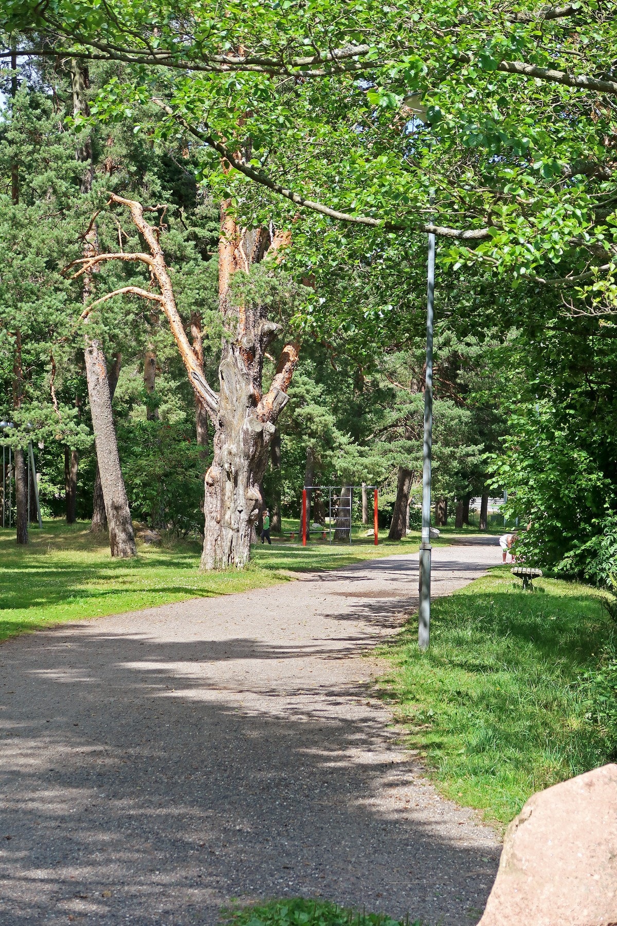 Nærområdet Galleribilde