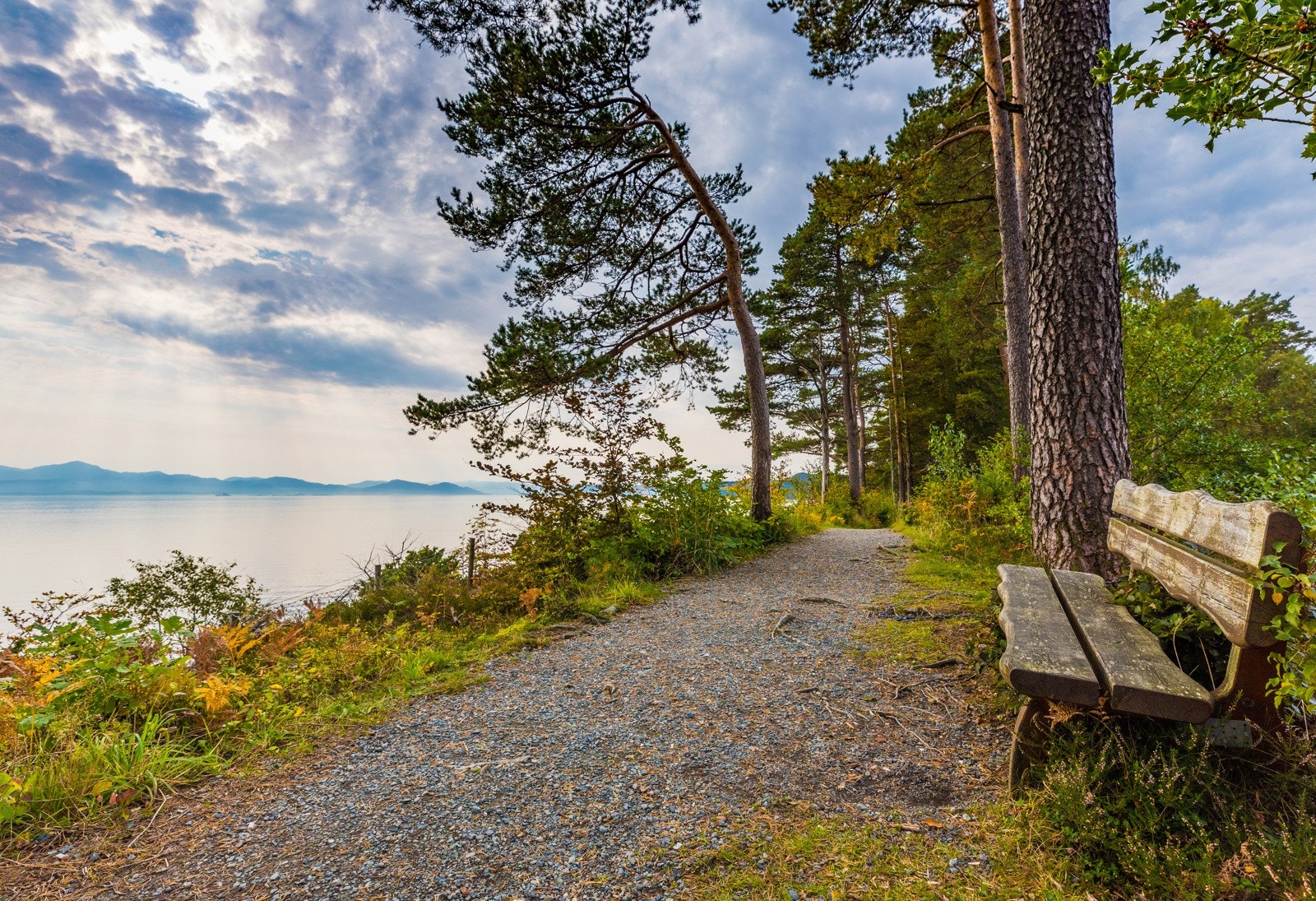 Kyststien Galleribilde