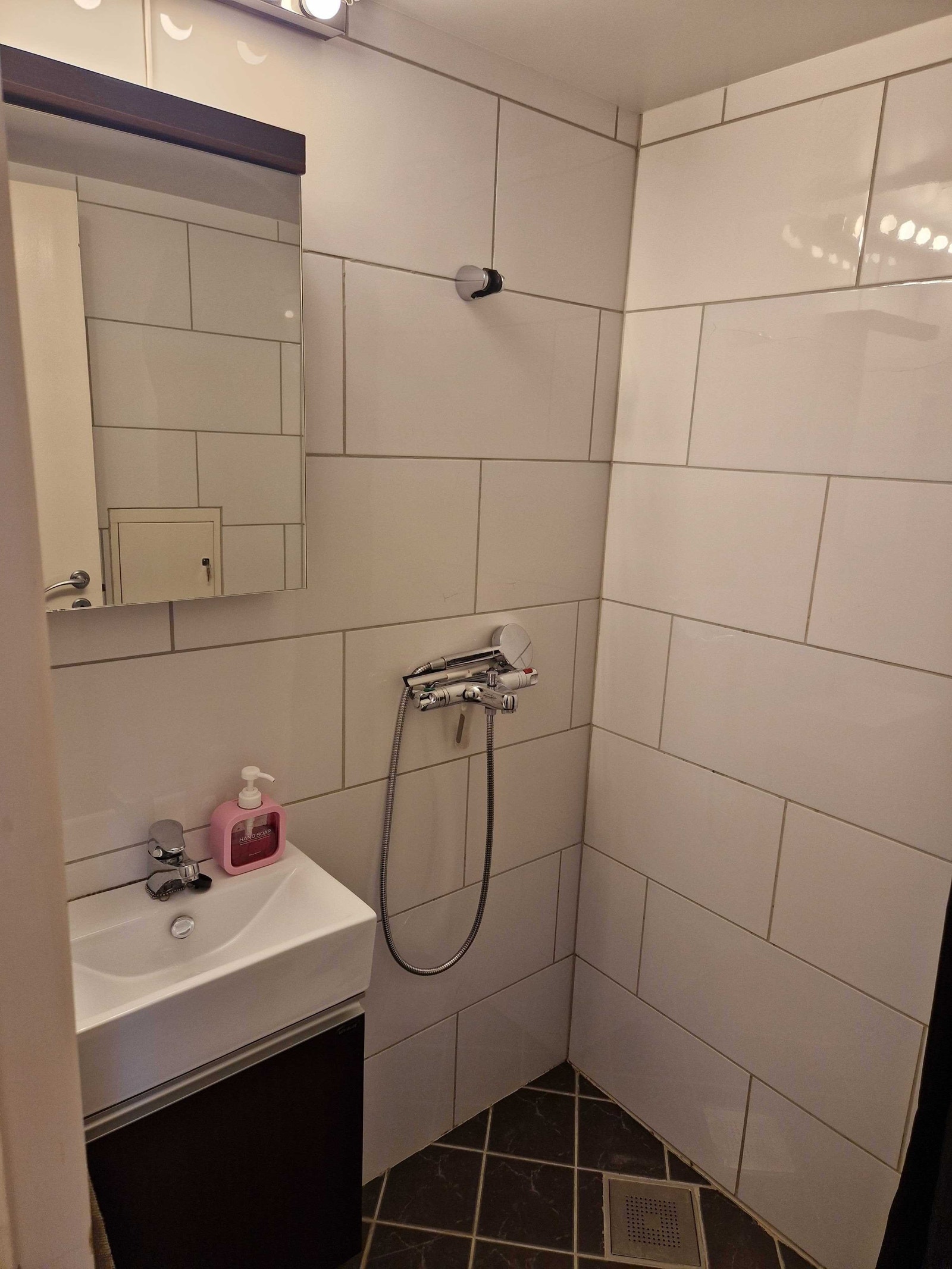 Bådet har dusjhjørne, vask og toalett Galleribilde