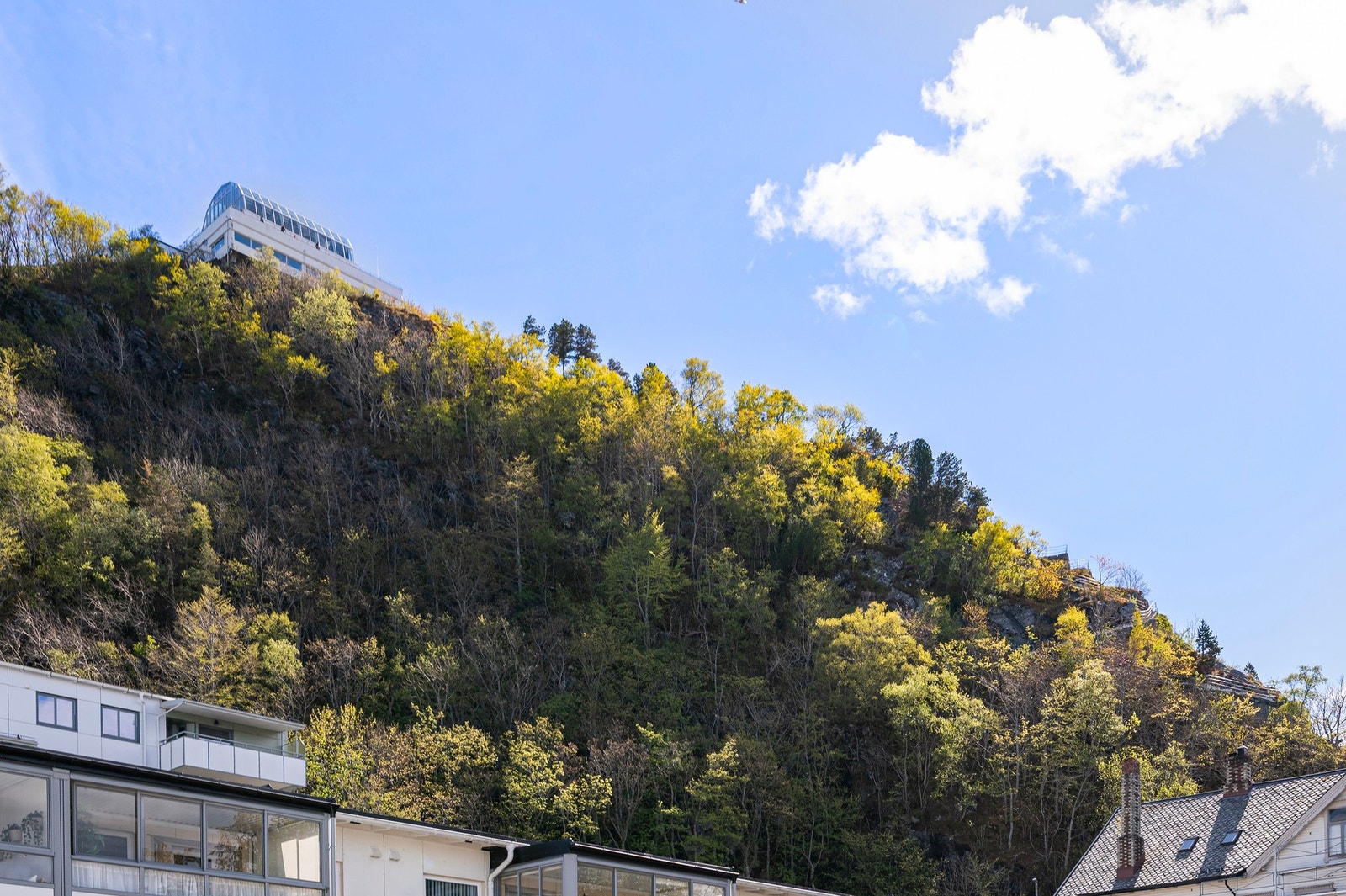 Utsikt mot fjellstuen Galleribilde