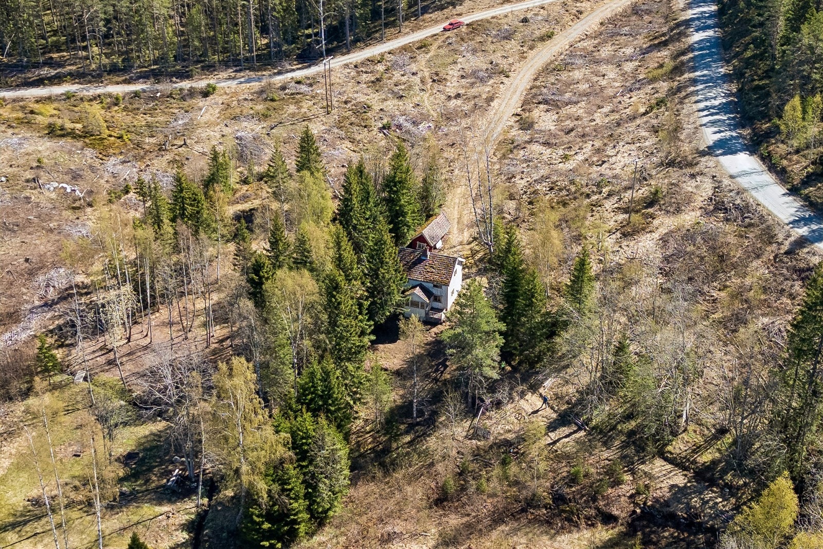 Noe kupert og skrående tomt som stort sett består av naturtomt og noe skog. Galleribilde
