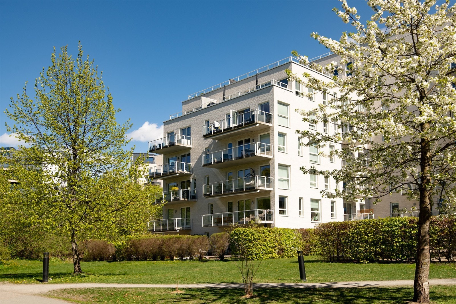Fasade. Galleribilde