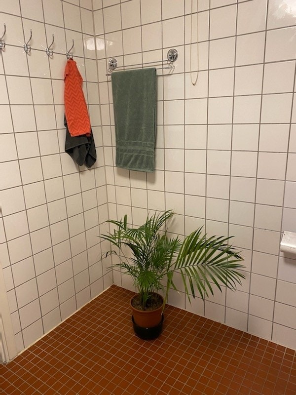 Badet Galleribilde