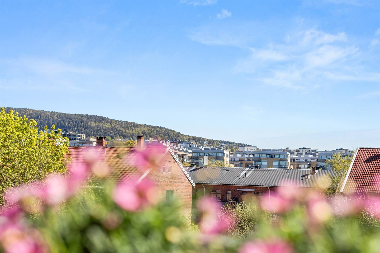 Fra balkongen har man flott utsikt mot Grefsenkollen. Galleribilde