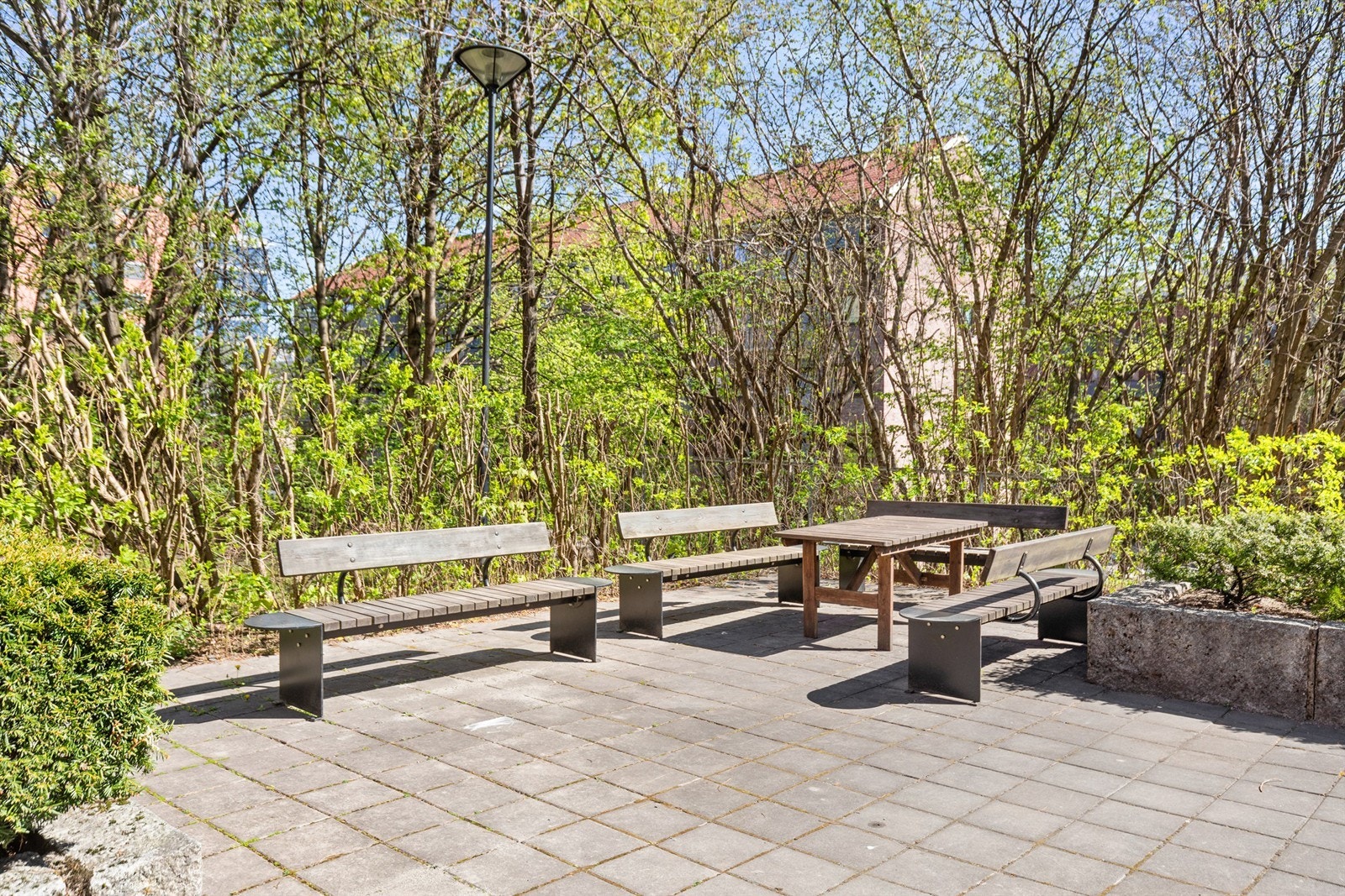 Hyggelige fellesområder. Galleribilde