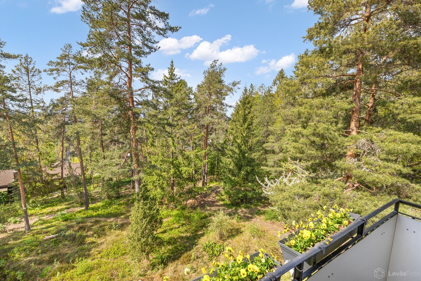 Området byr på nærhet til både marka og sjøen, med flotte tur- og rekreasjonsmuligheter. Galleribilde