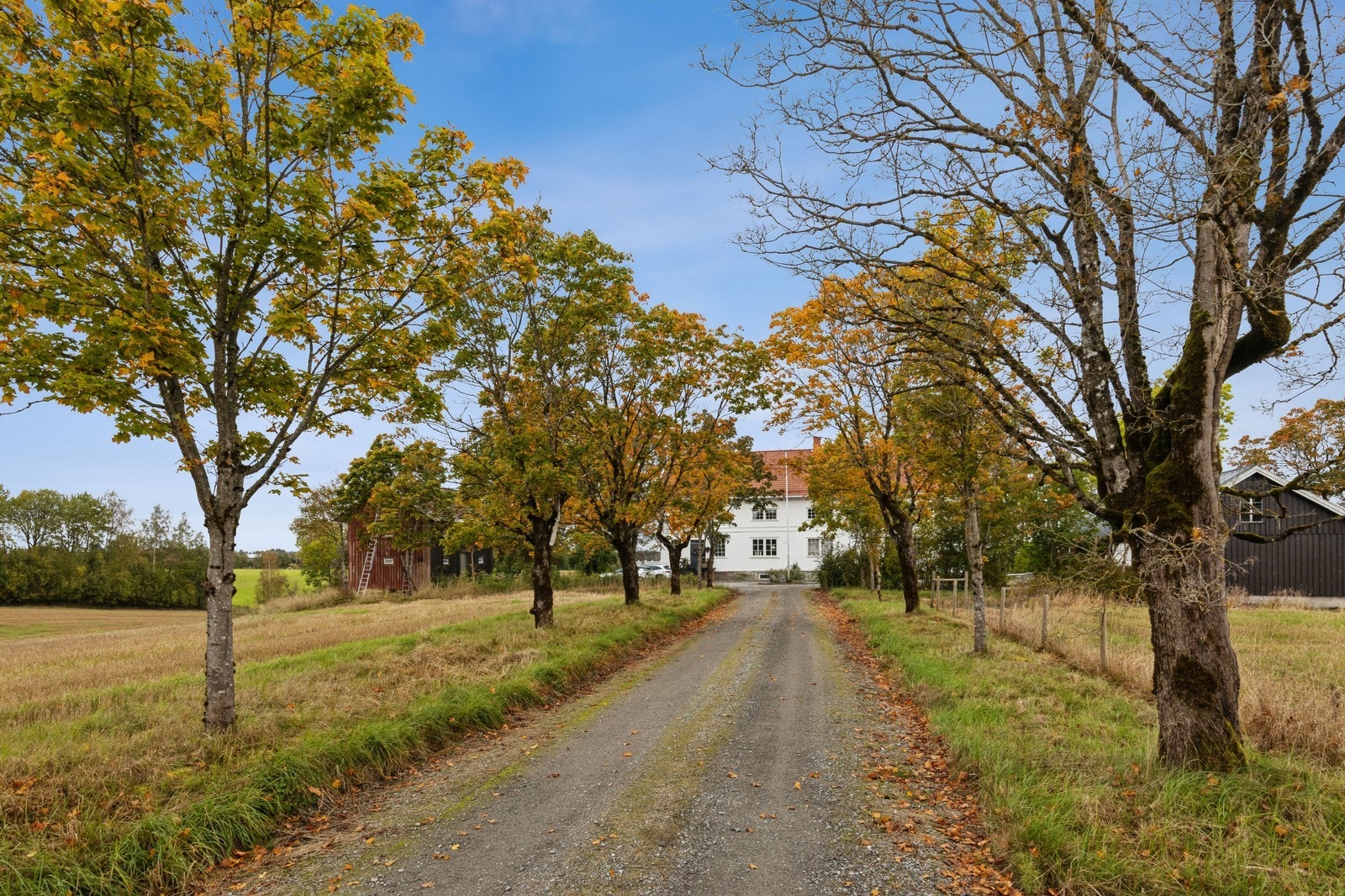 Flott uteområde Galleribilde