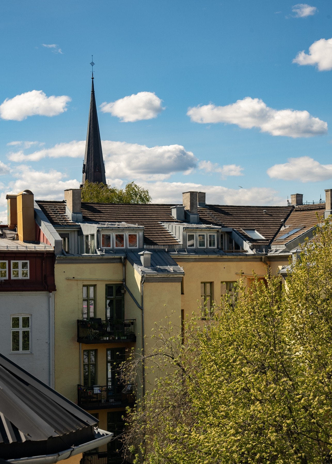 Ses vi på visning? Galleribilde